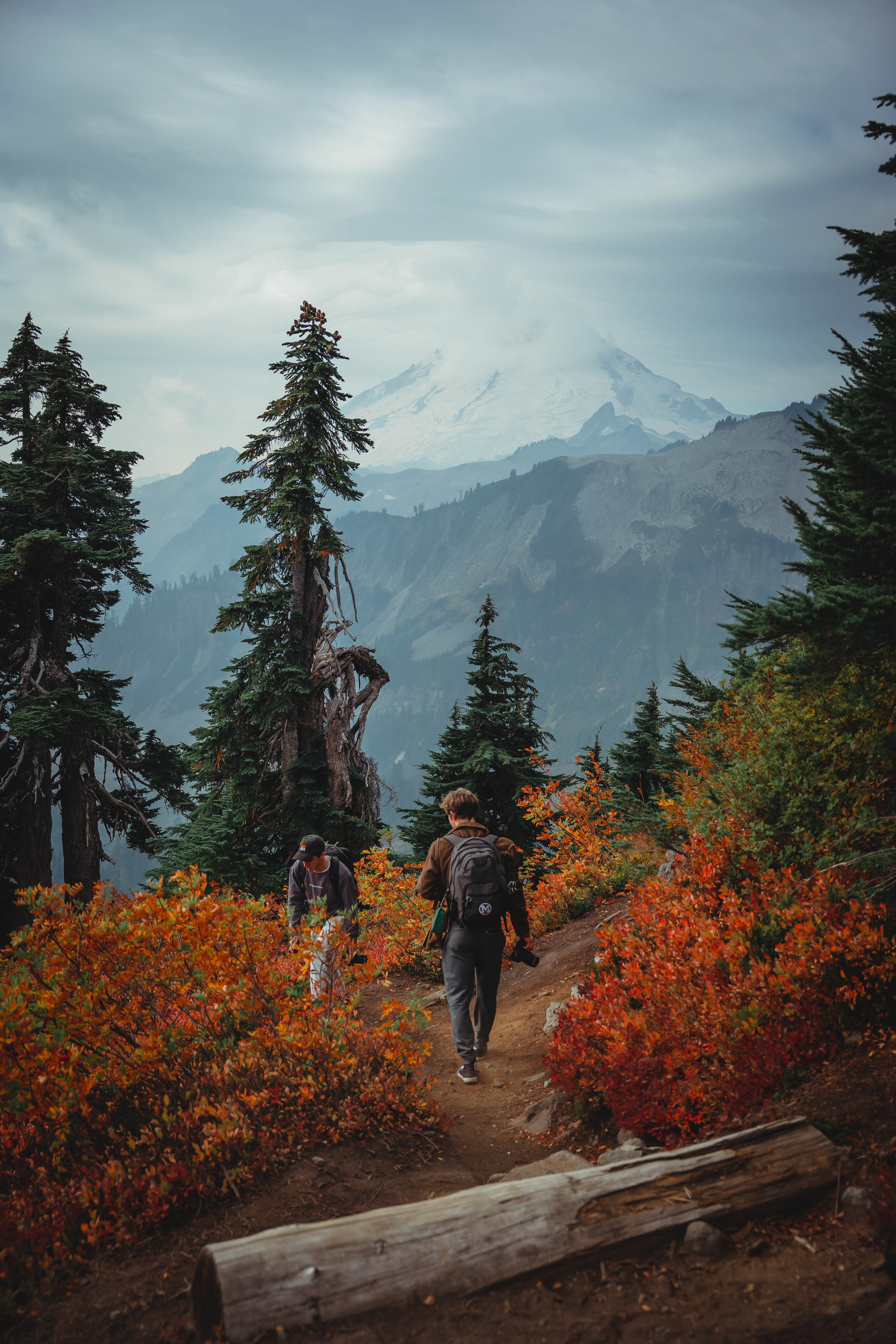 Fall colors at Artists Point