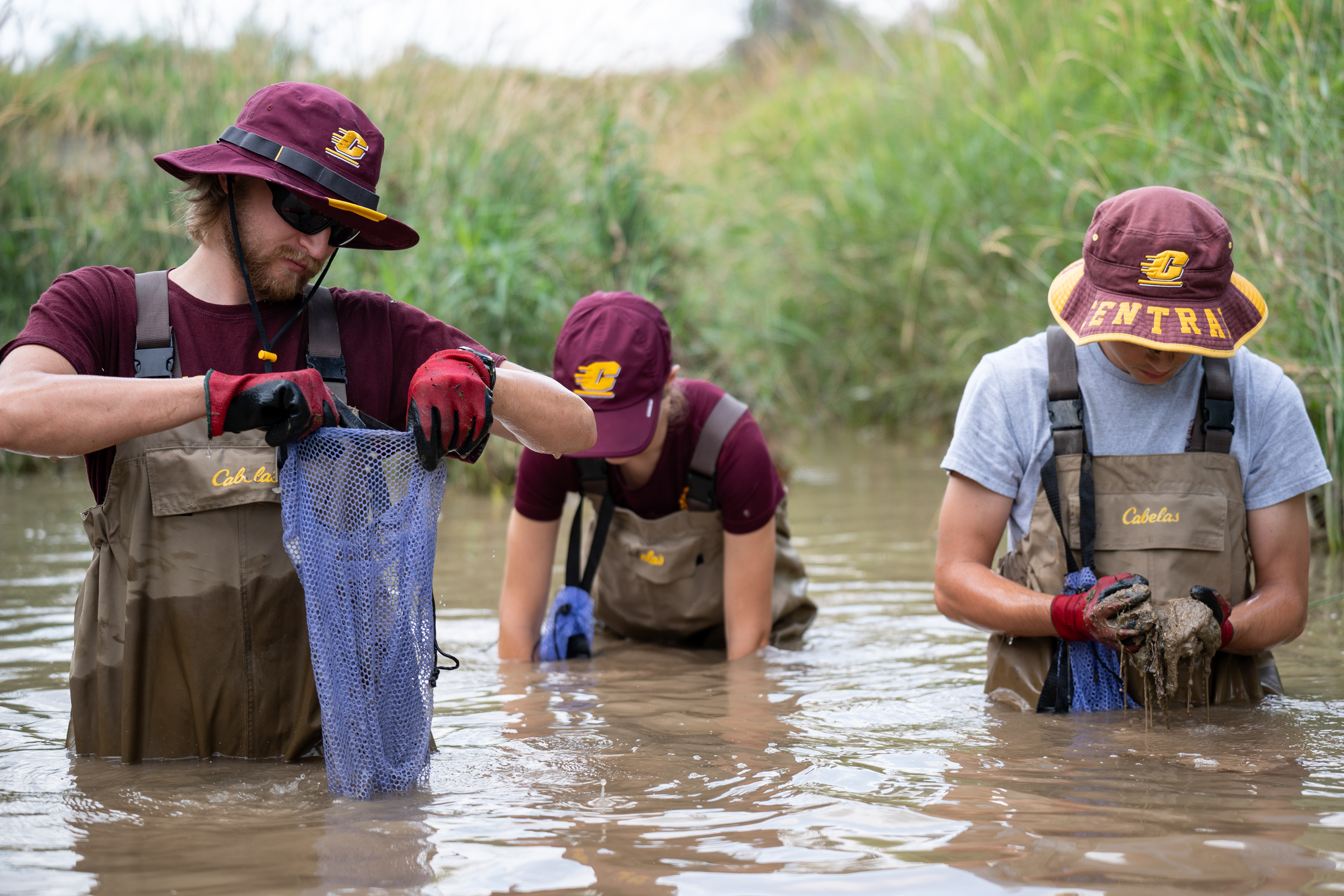 Central Michigan graduate student Aaron Vlasak, left, senior Jessica Gibbins, center, and senior Kyle Reynolds, right, search for and study native mussels found in roadside creeks throughout the Tittabawassee River watershed, Tuesday, July 8, 2025. Vlasak found a rare mussel species, the Slippershell mussel, that is Threatened in Michigan 10 minutes from campus and is surveying more creeks to determine its preferable habitat.