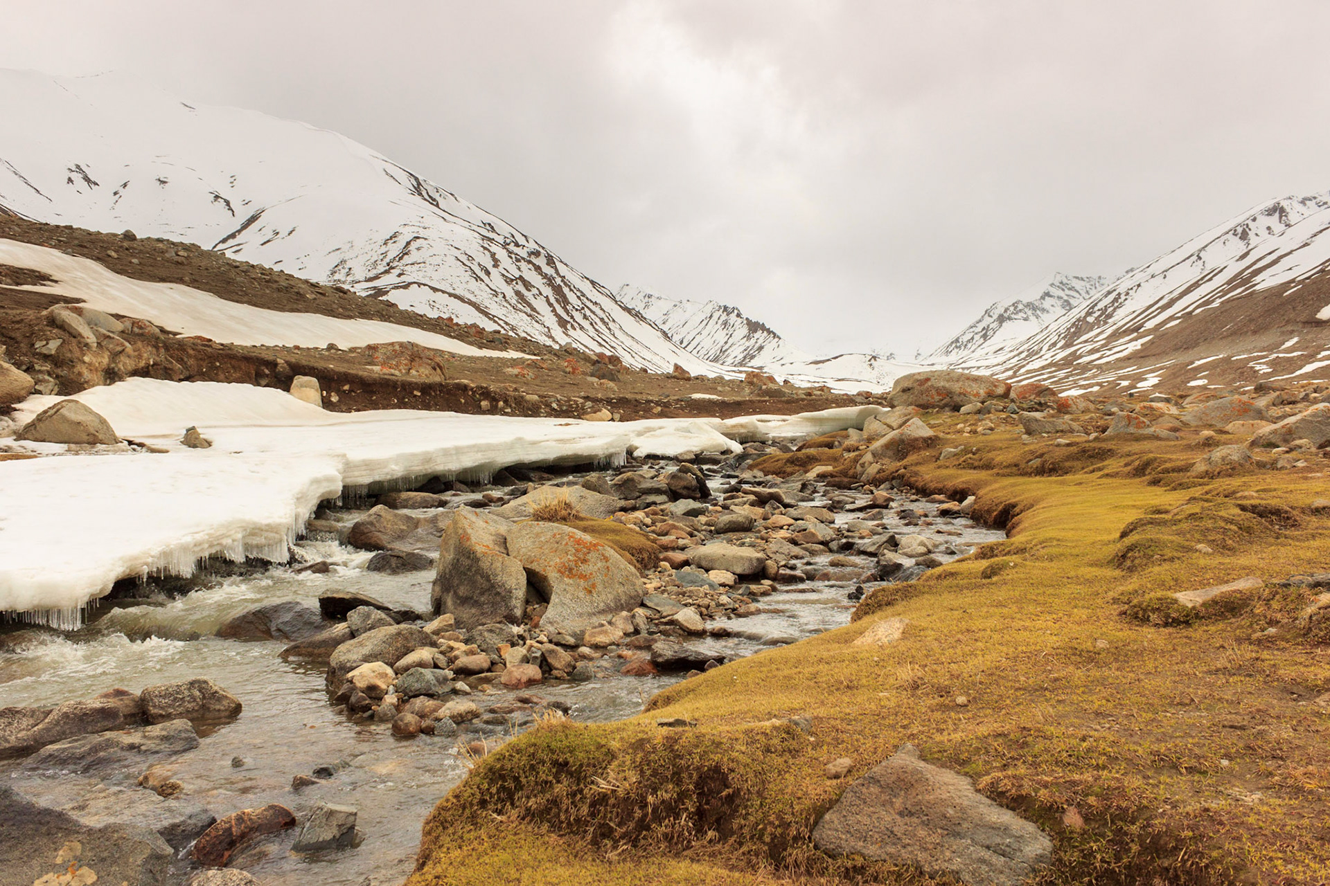 Mountain Stream