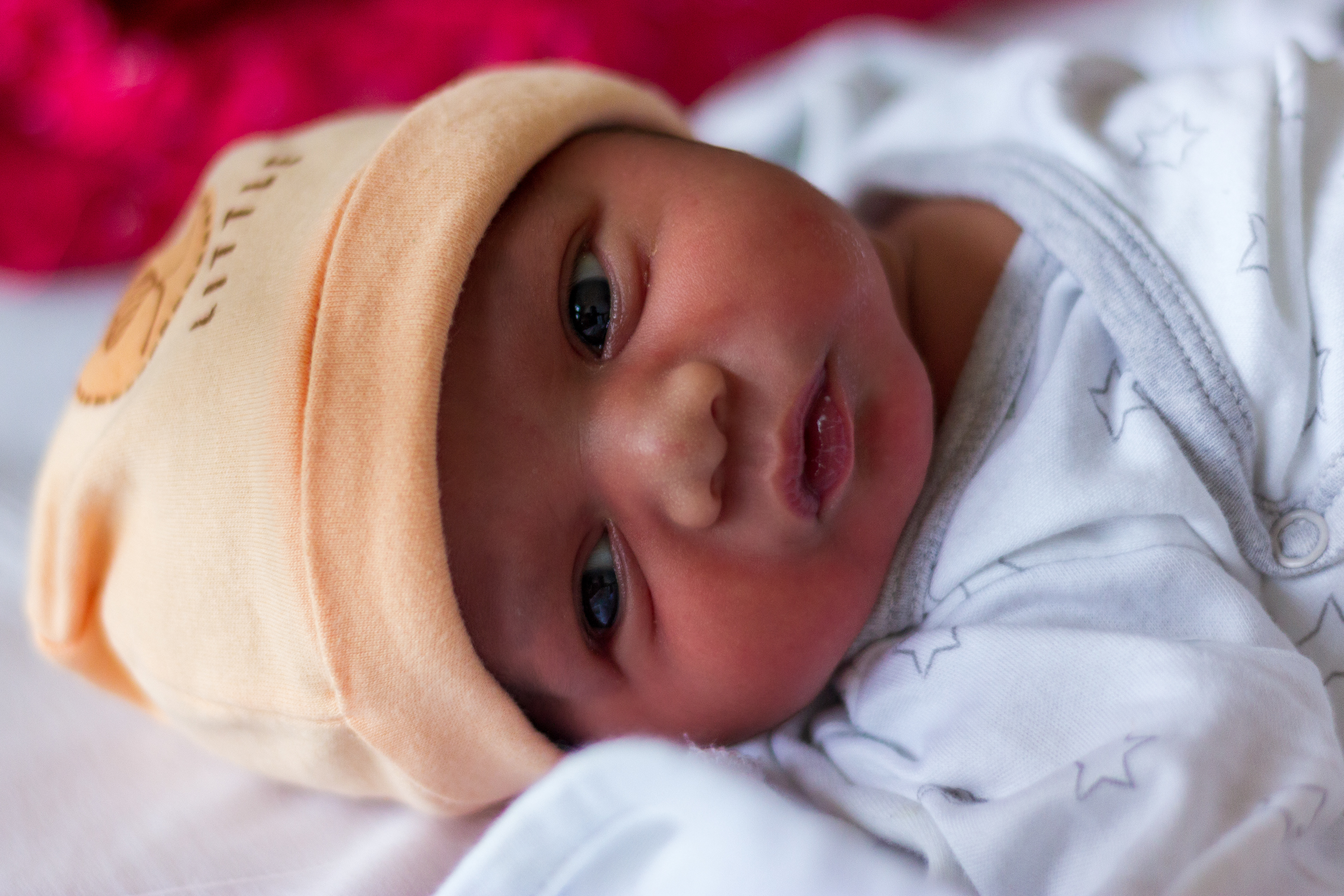 1 day Old & Cute