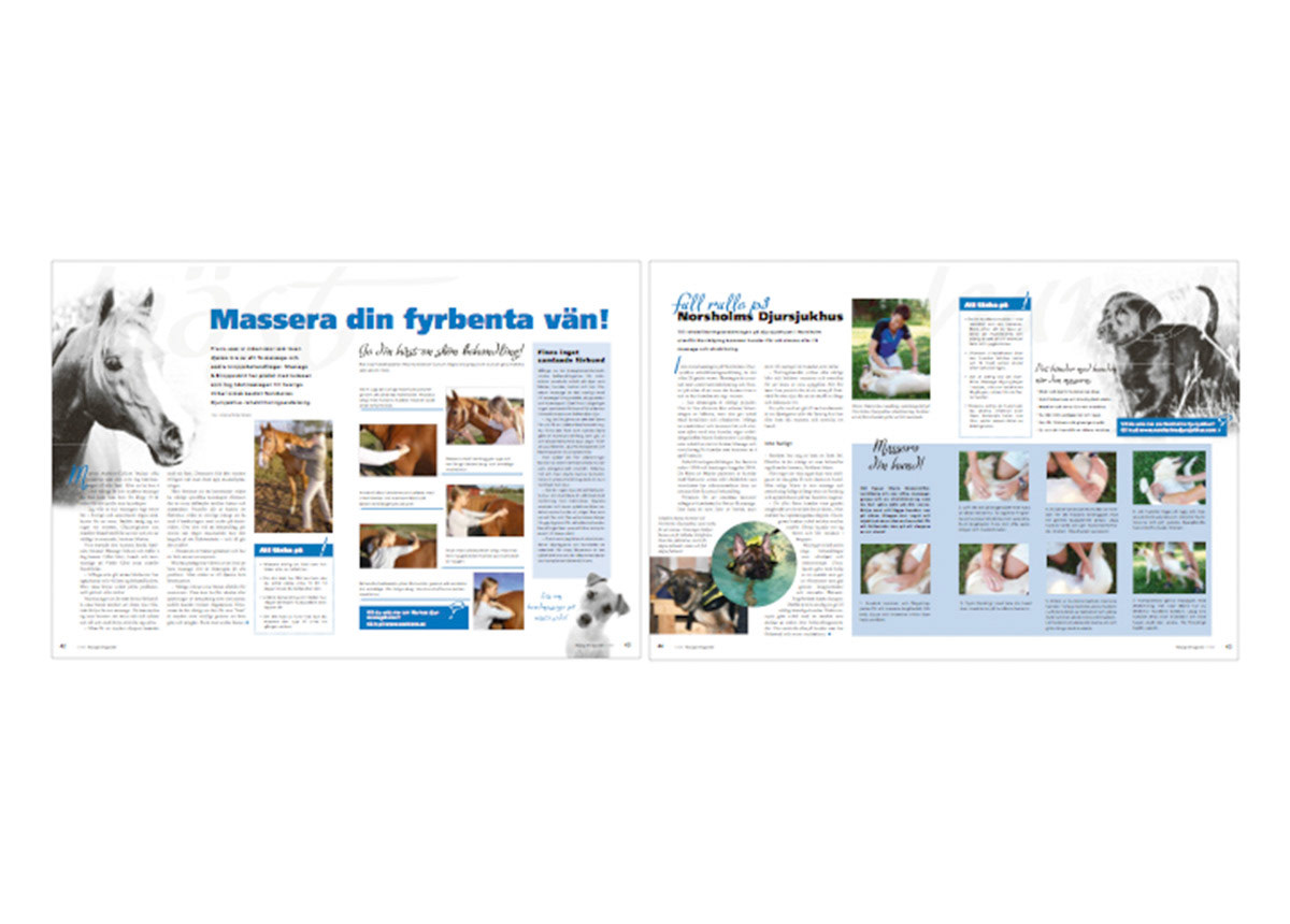 Massage & Kroppsvård - Tidningslayout, illustratione