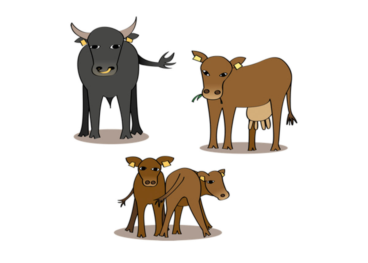 Socialstyrelsen - Kossor