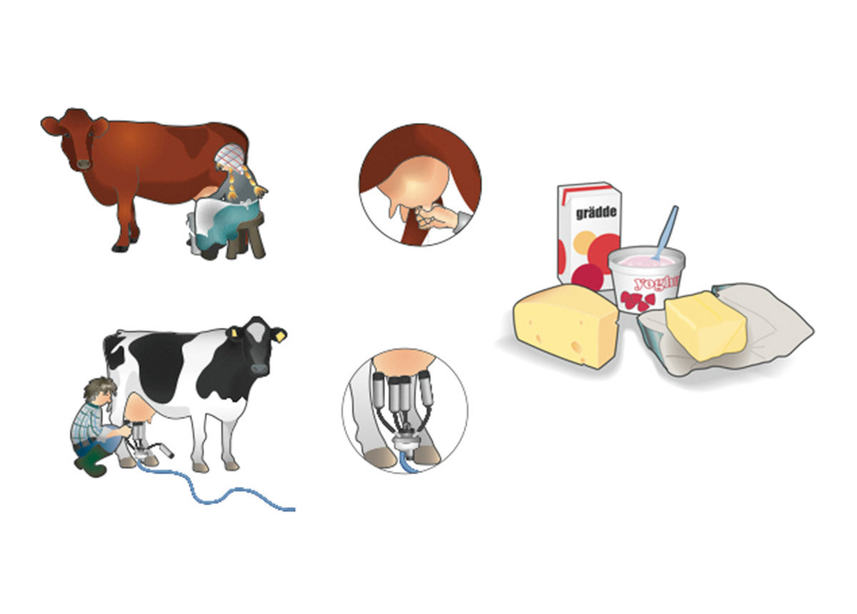 CETIS - Läromedelsillustration