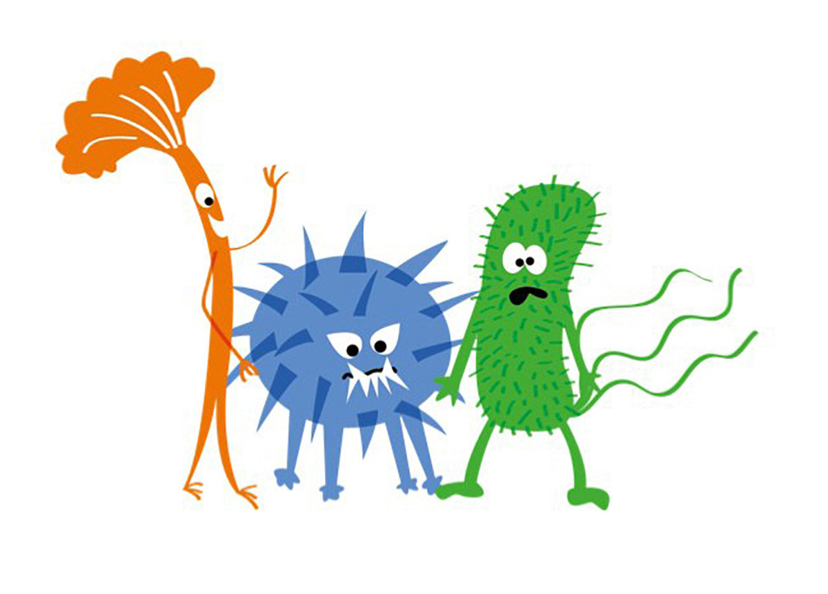 Finspångs Tekniska verk - Bakterier