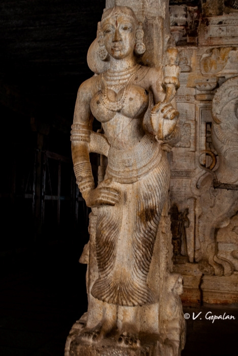 Vanamamalai Perumal Temple, Nanguneri, 9th Ctry