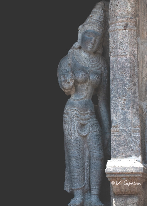 Amirthakadeshwarar Temple, Melakadambur, 1100 CE