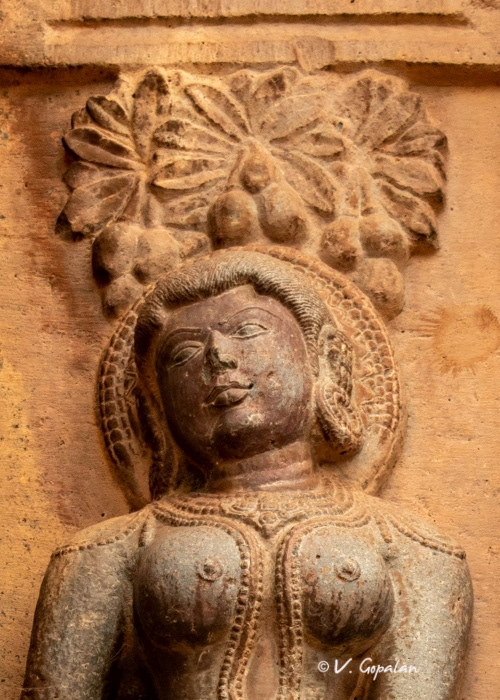 Shiva temple, Narayanapur, 11th Ctry
