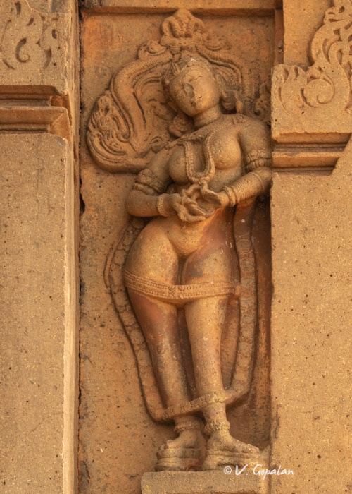 Iswara temple, Jalsangi, Mulugu, 1105 CE