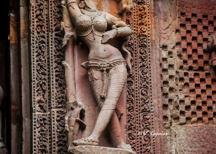 Raja Rani Temple, Bhubaneswar 12th Ctry