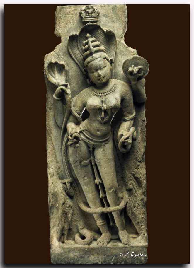 Padmavathi Jaina protective deity