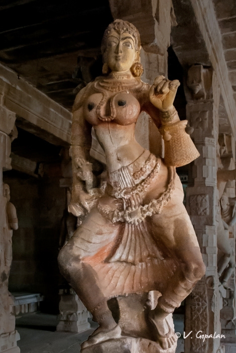 Sathyamurthi Perumal Temple, Thirumayam, 9th Ctry
