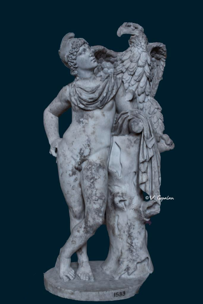 Ganemed with the eagle (BM)