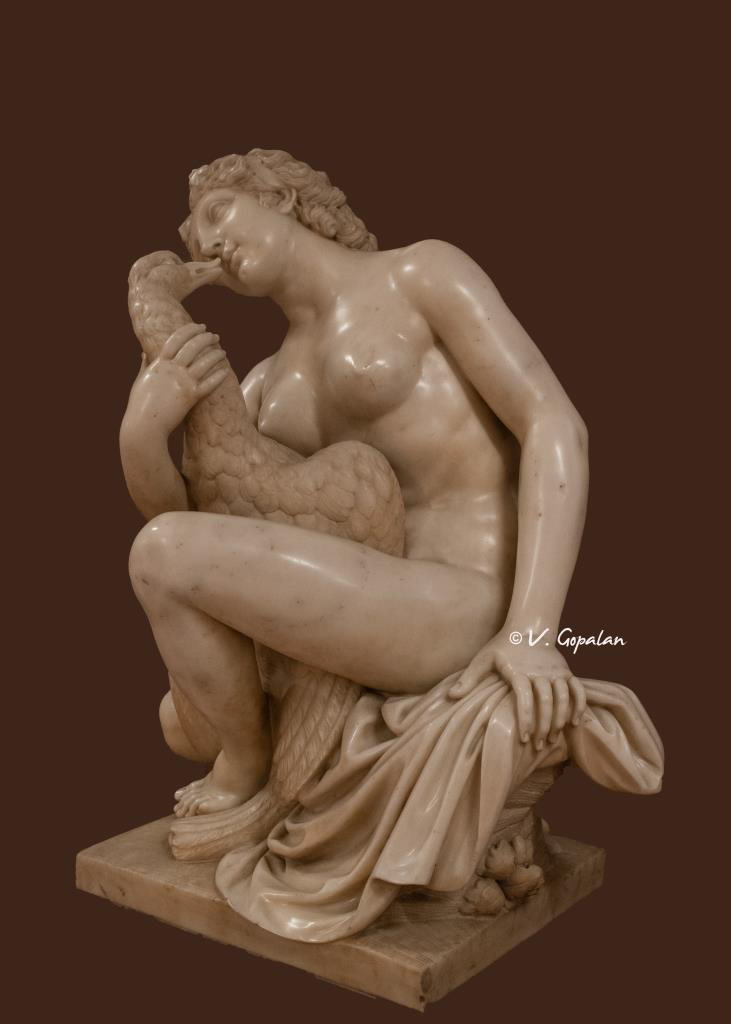 Lida & the Swan (SJM)