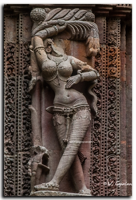 Raja Rani temple, Bhubaneswar, 12th Ctry