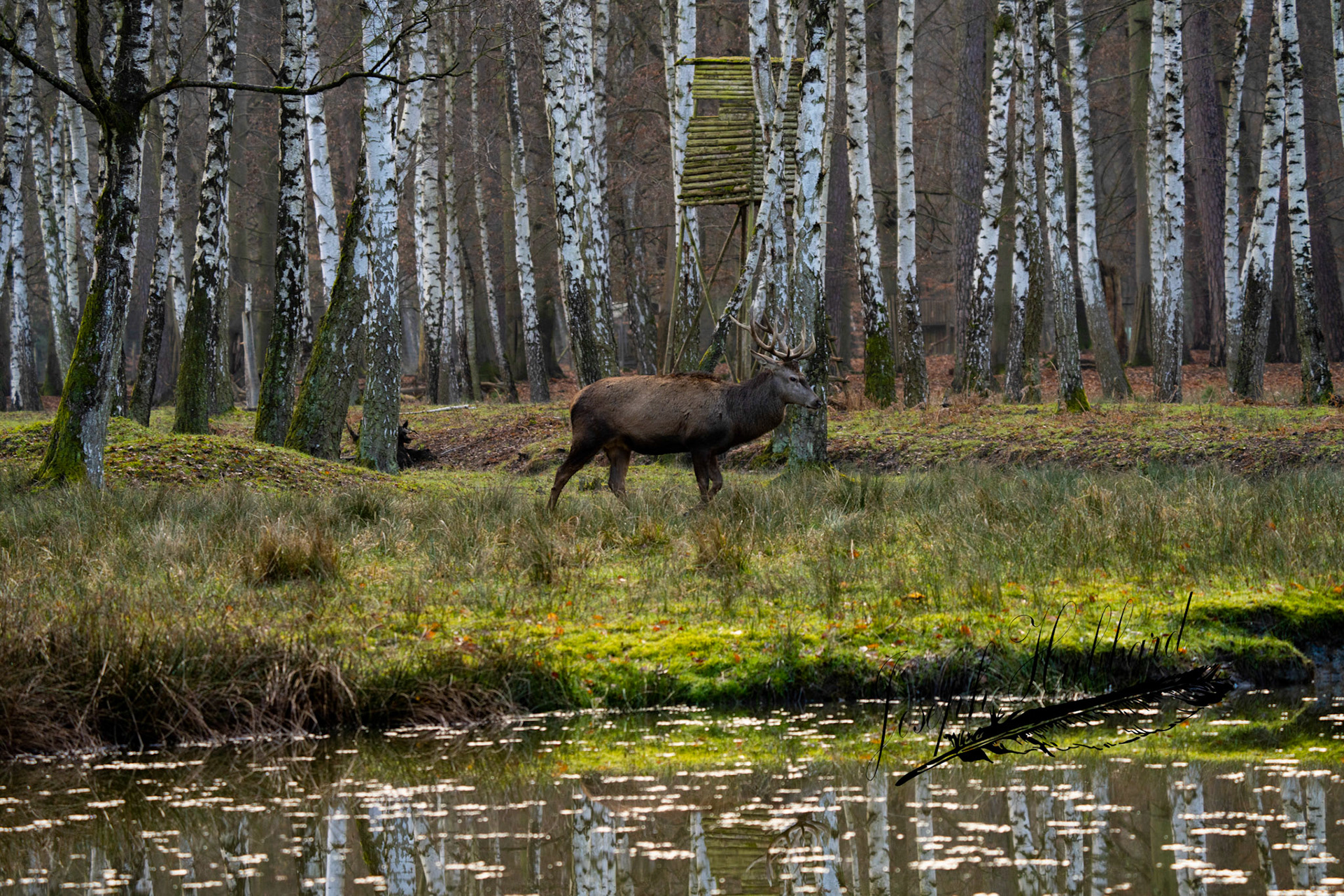 Taken in 2023 with a Sony full-frame mirrorless camera.