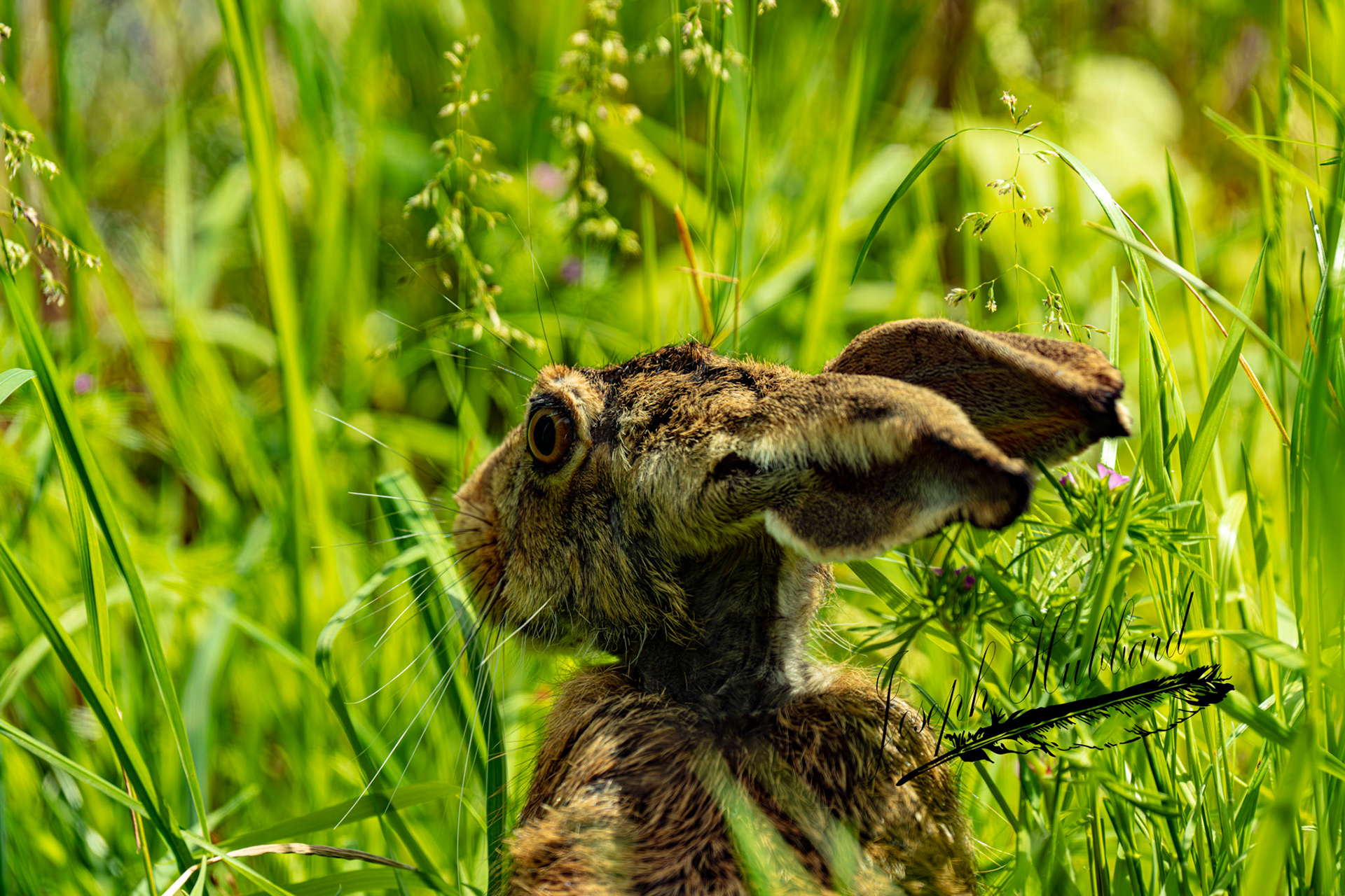 Taken in 2023 with a Sony full-frame mirrorless camera.