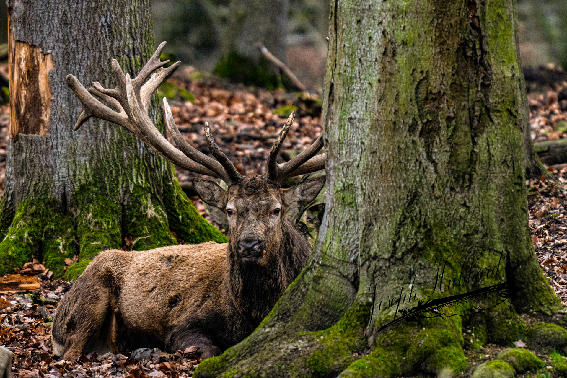 Taken in 2023 with a Sony full-frame mirrorless camera.