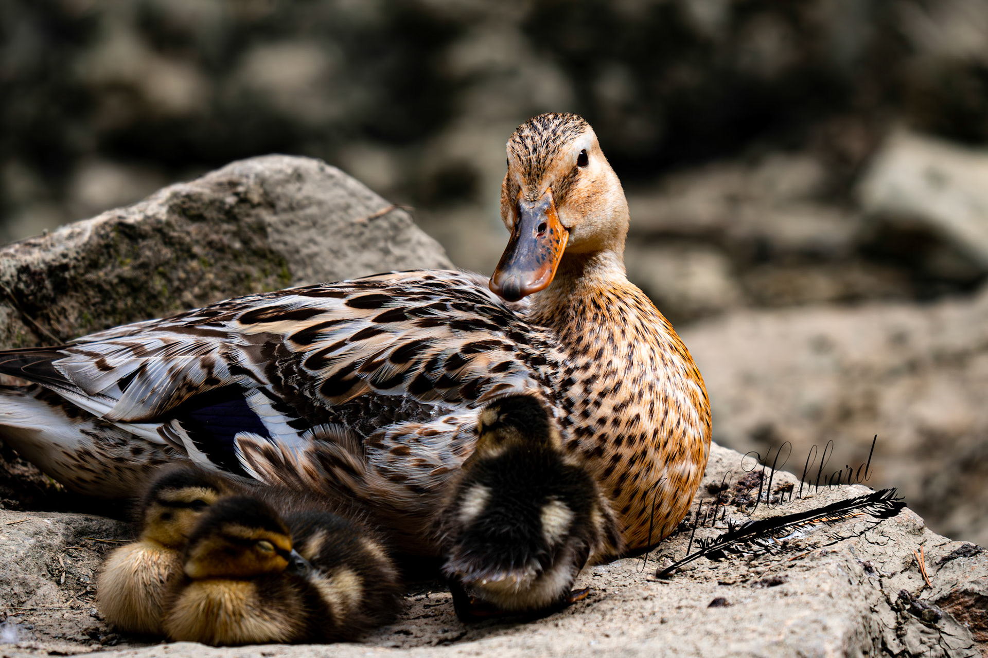 Taken in 2020 with a Sony full-frame mirrorless camera.