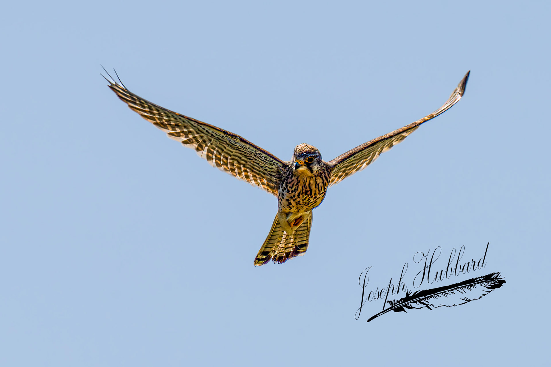 Taken in 2023 with a Sony full-frame mirrorless camera.