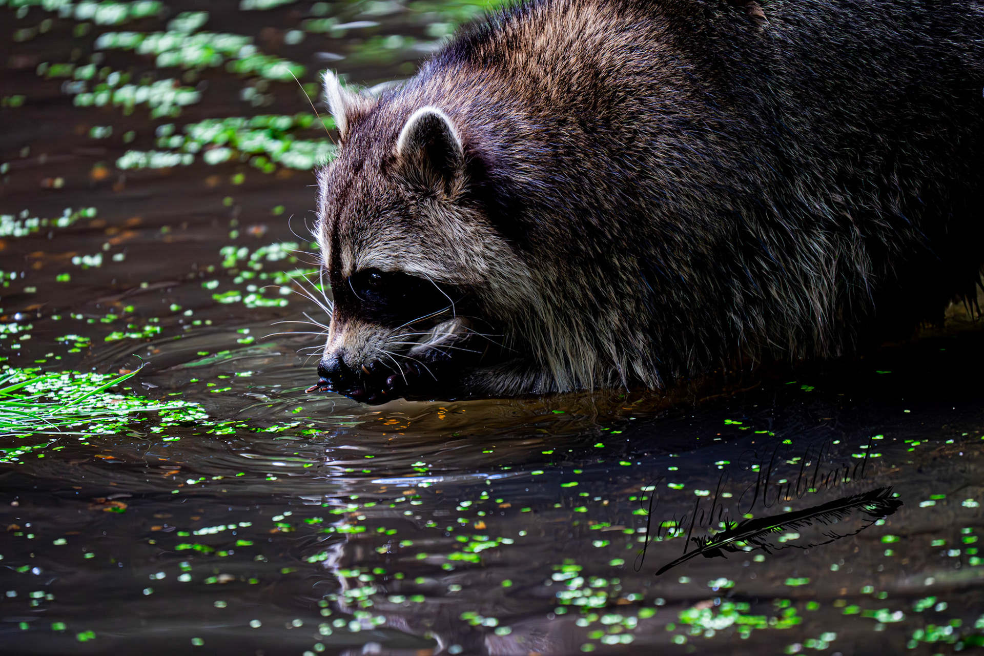 Taken in 2020 with a Sony full-frame mirrorless camera.