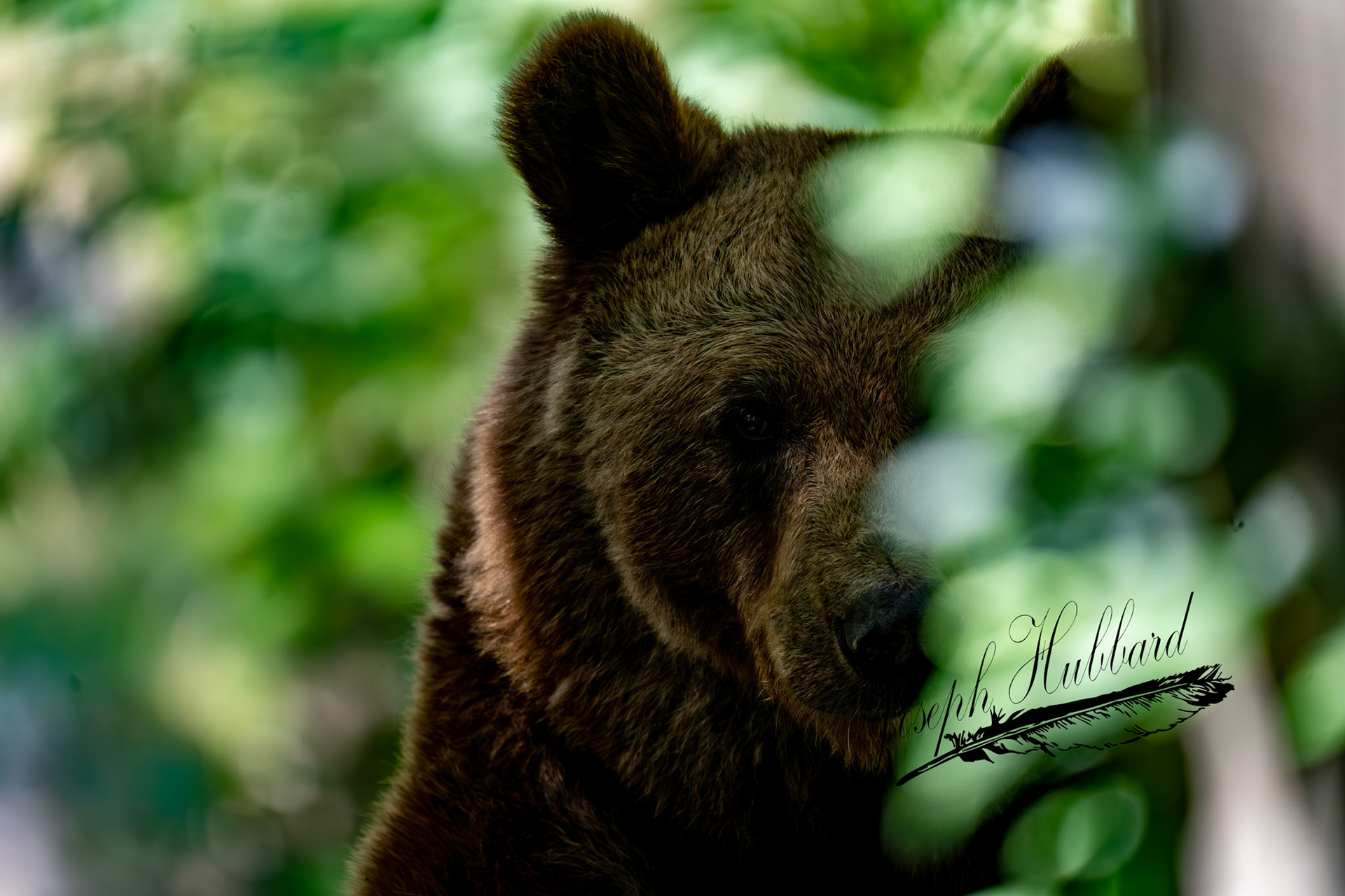 Taken in 2020 with a Sony full-frame mirrorless camera.