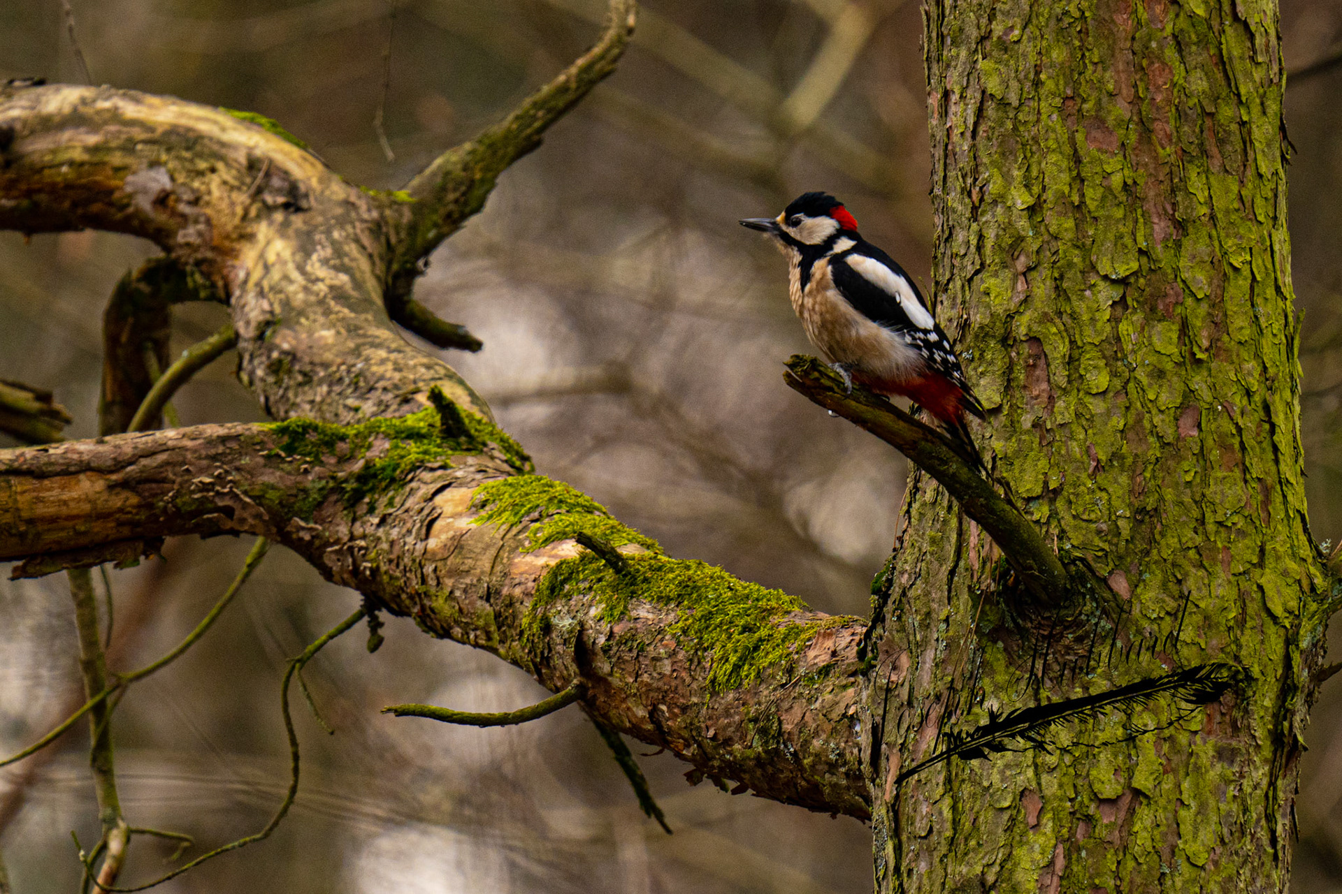 Taken in 2023 with a Sony full-frame mirrorless camera.