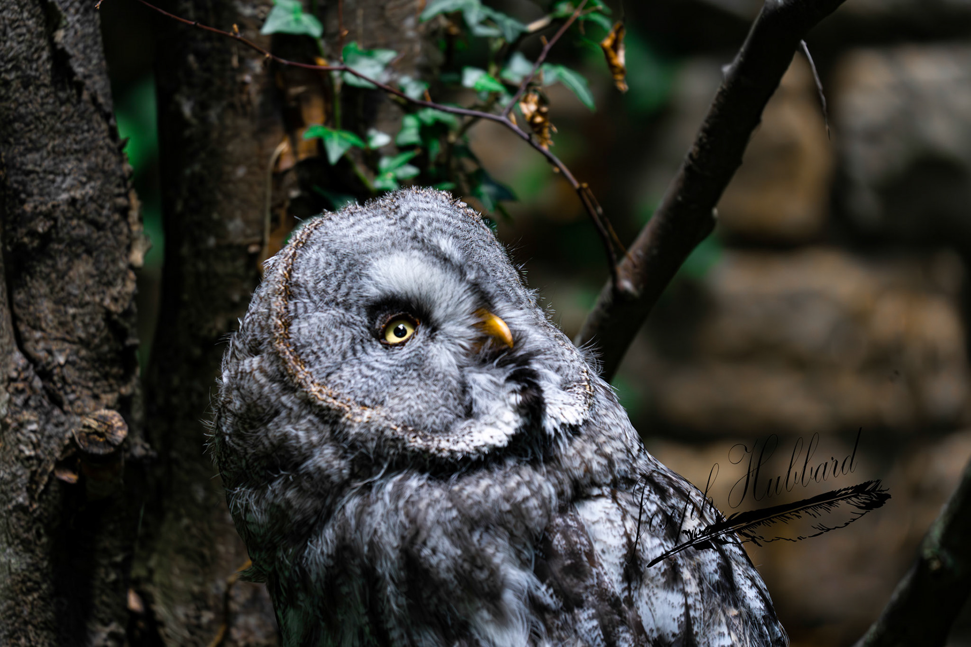 Taken in 2020 with a Sony full-frame mirrorless camera.