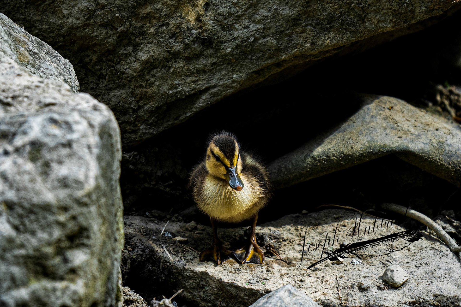 Taken in 2020 with a Sony full-frame mirrorless camera.