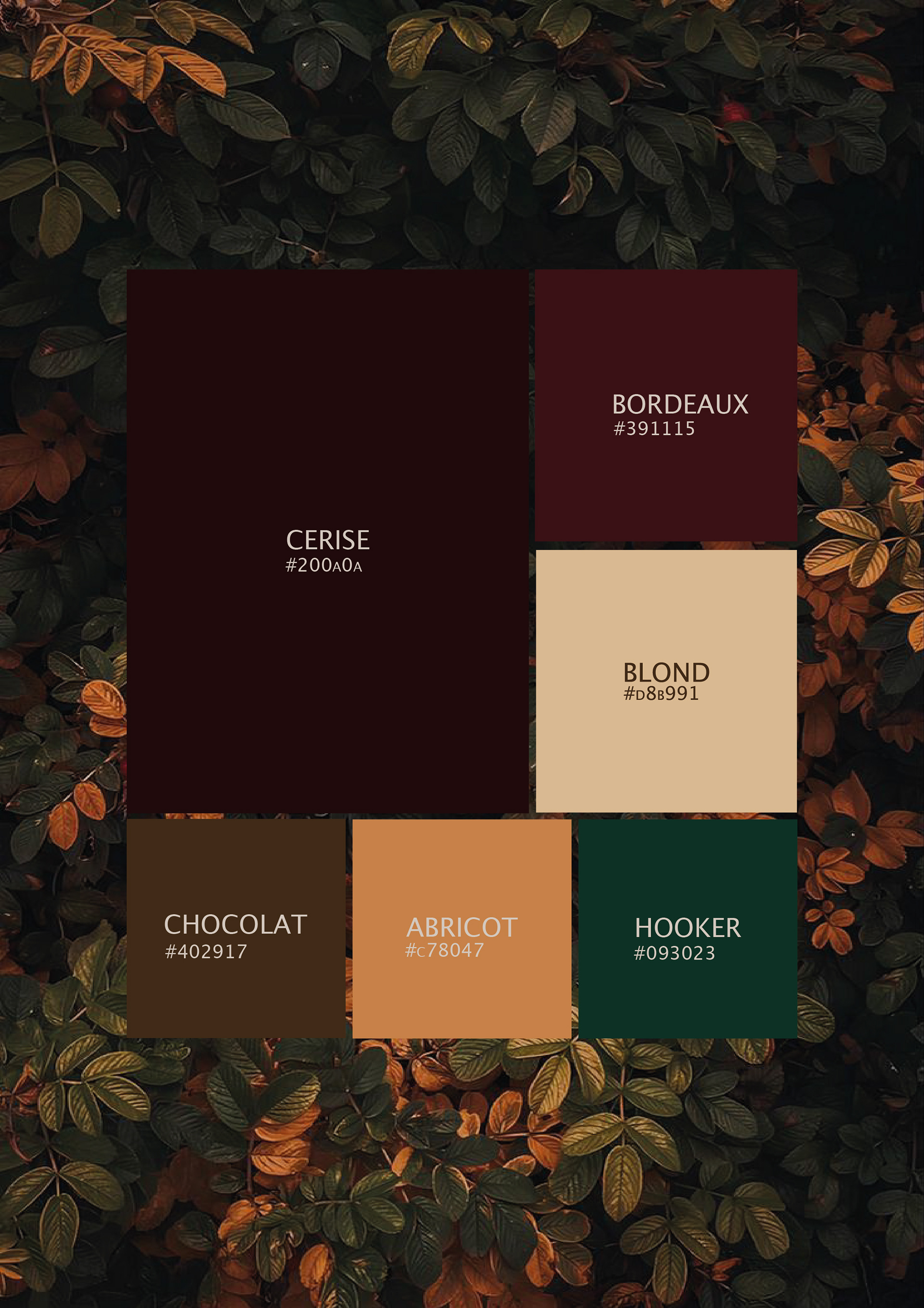 Palette de couleurs