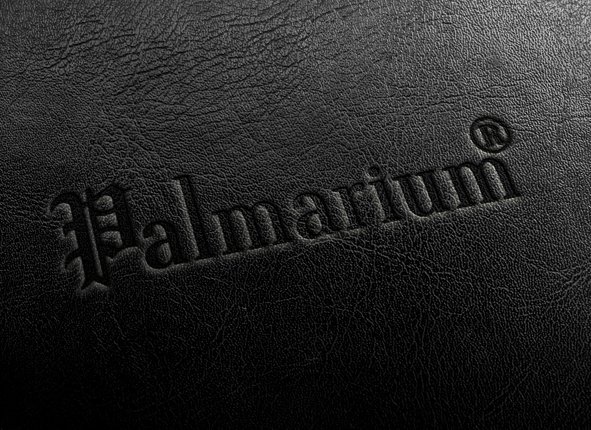 Logodesign - Palmarium