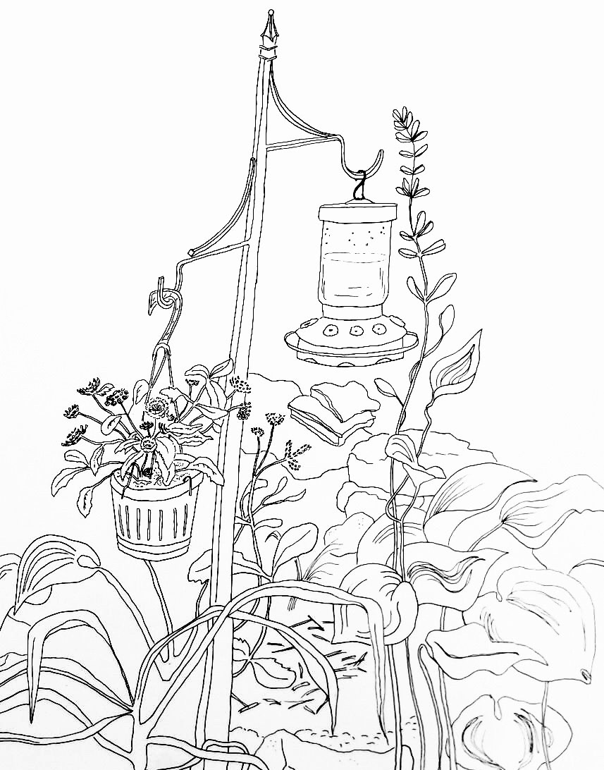 Mom's Garden