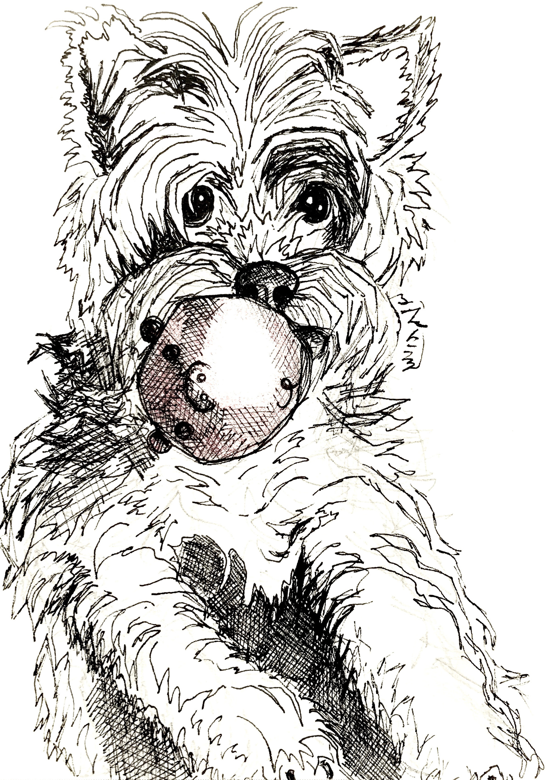 Max