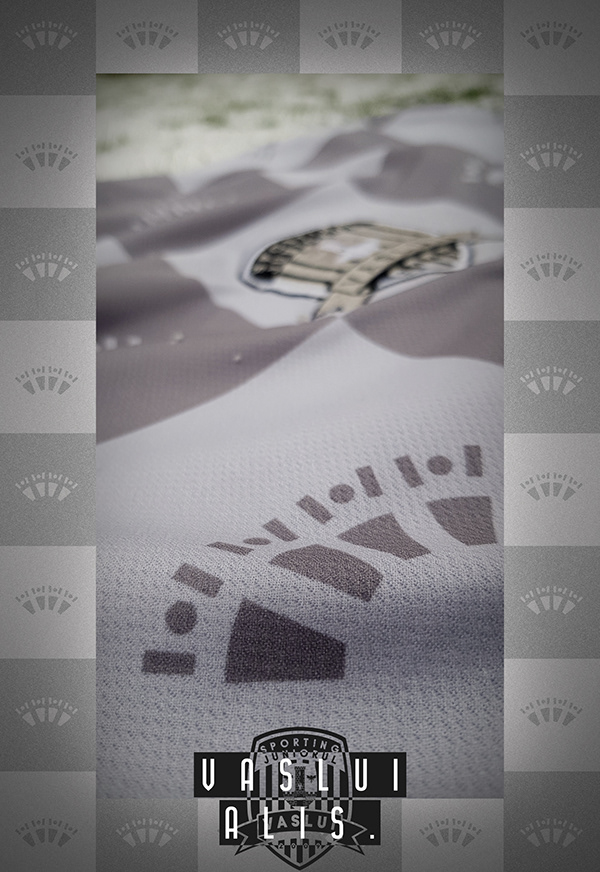 Fabric close-up showing the repeated motif and crest
