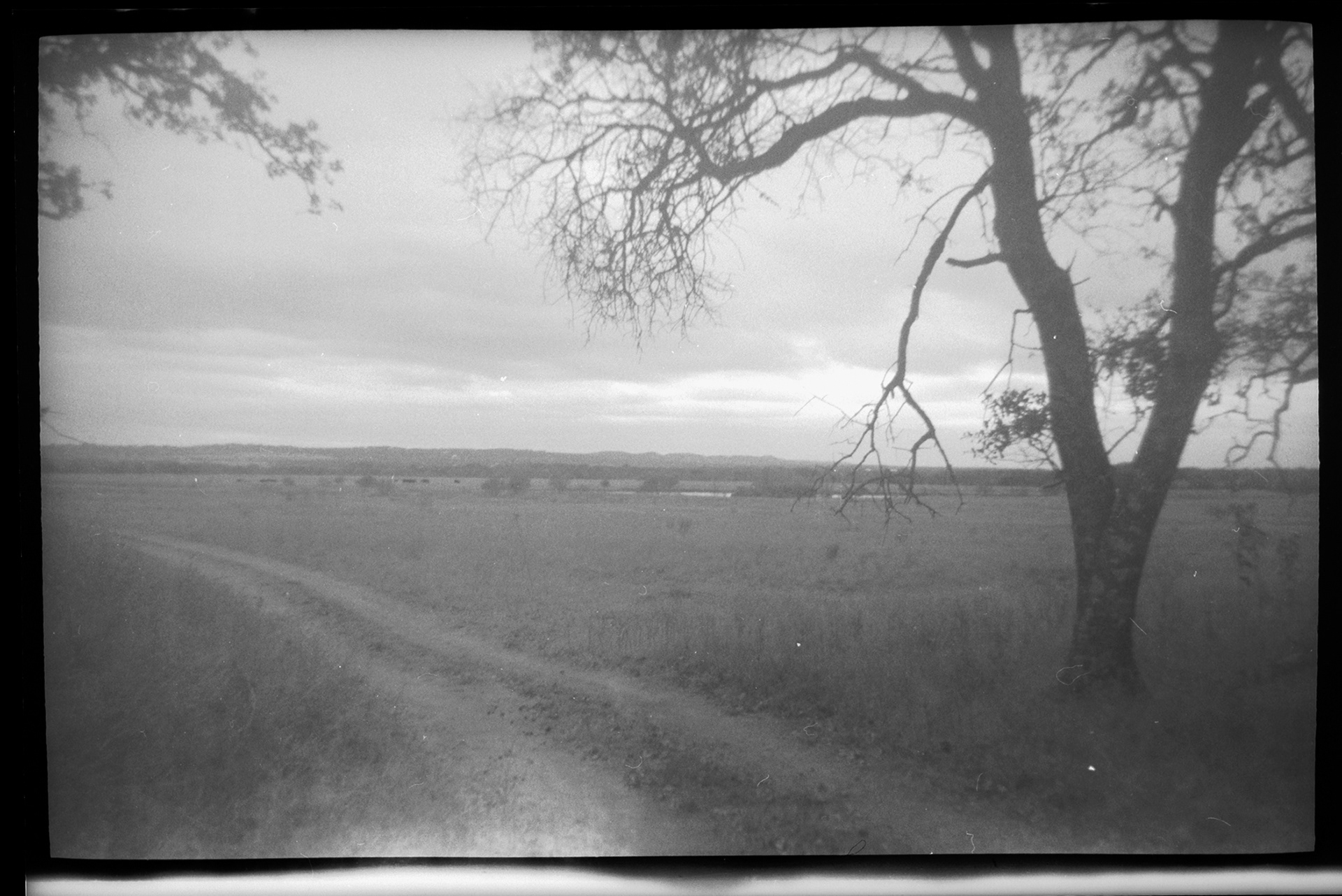 Kodak Brownie Holiday Flash