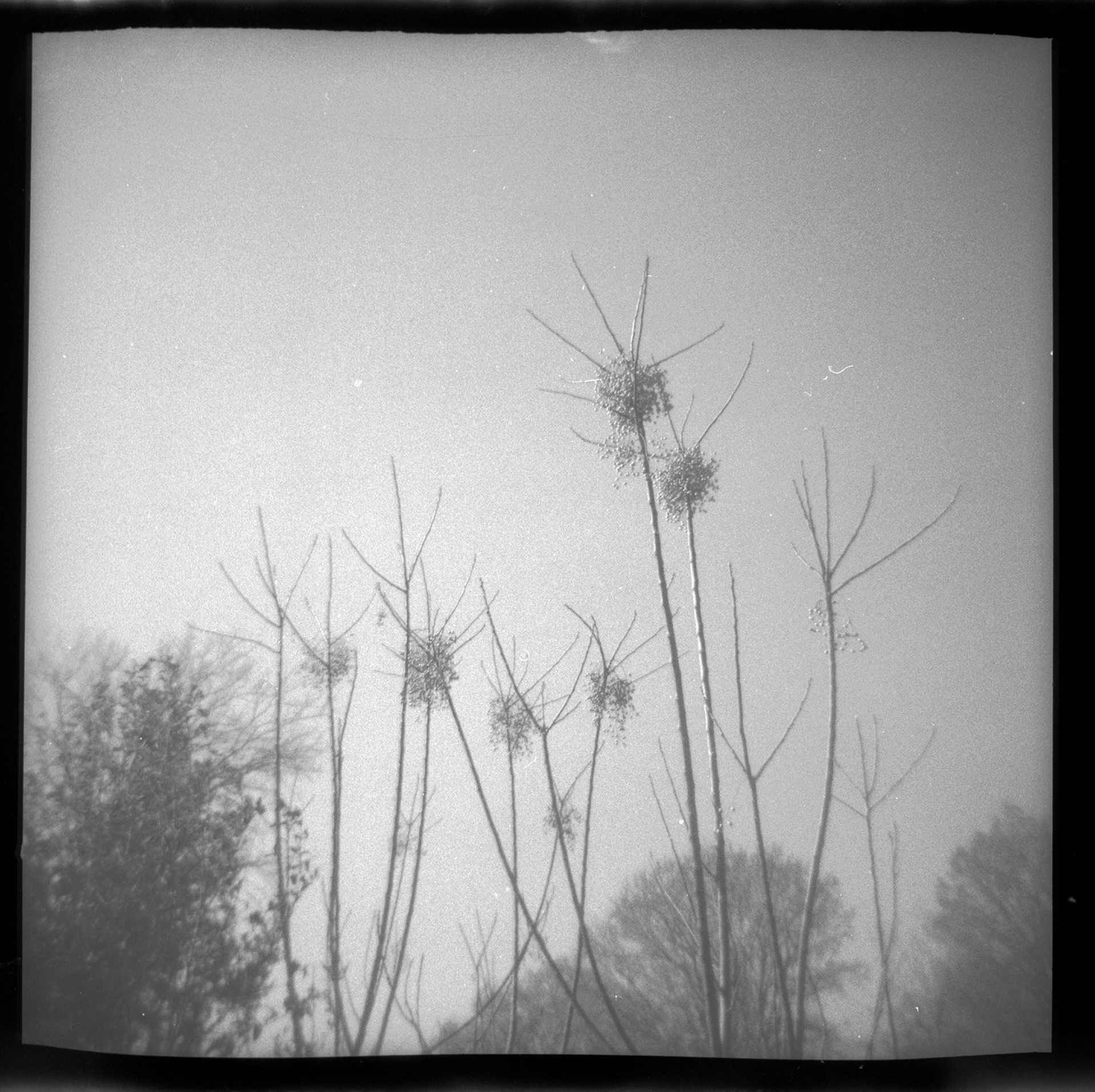 Kodak Brownie Retroflex