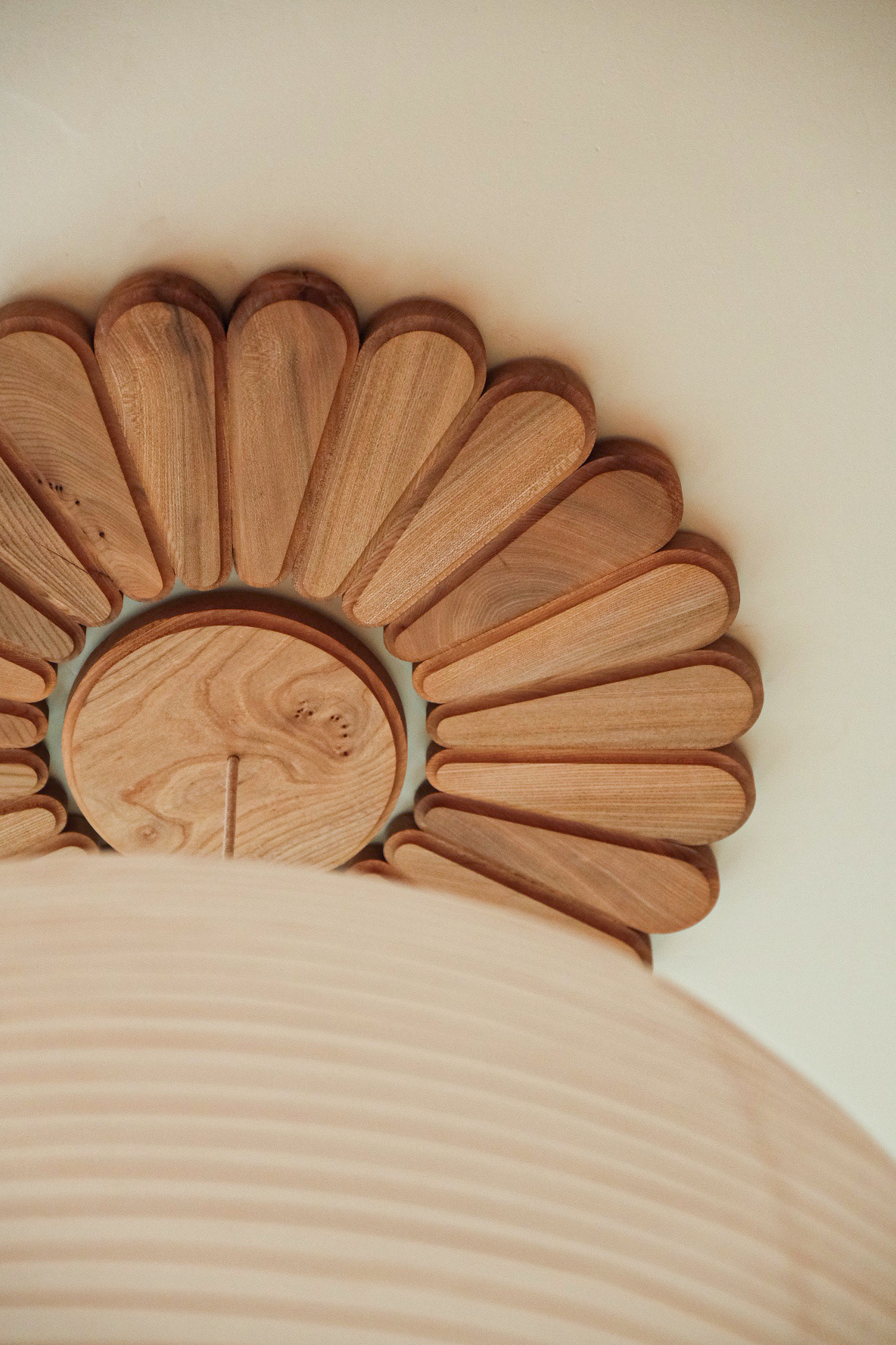 Ceiling Daisy in Scottish Elm