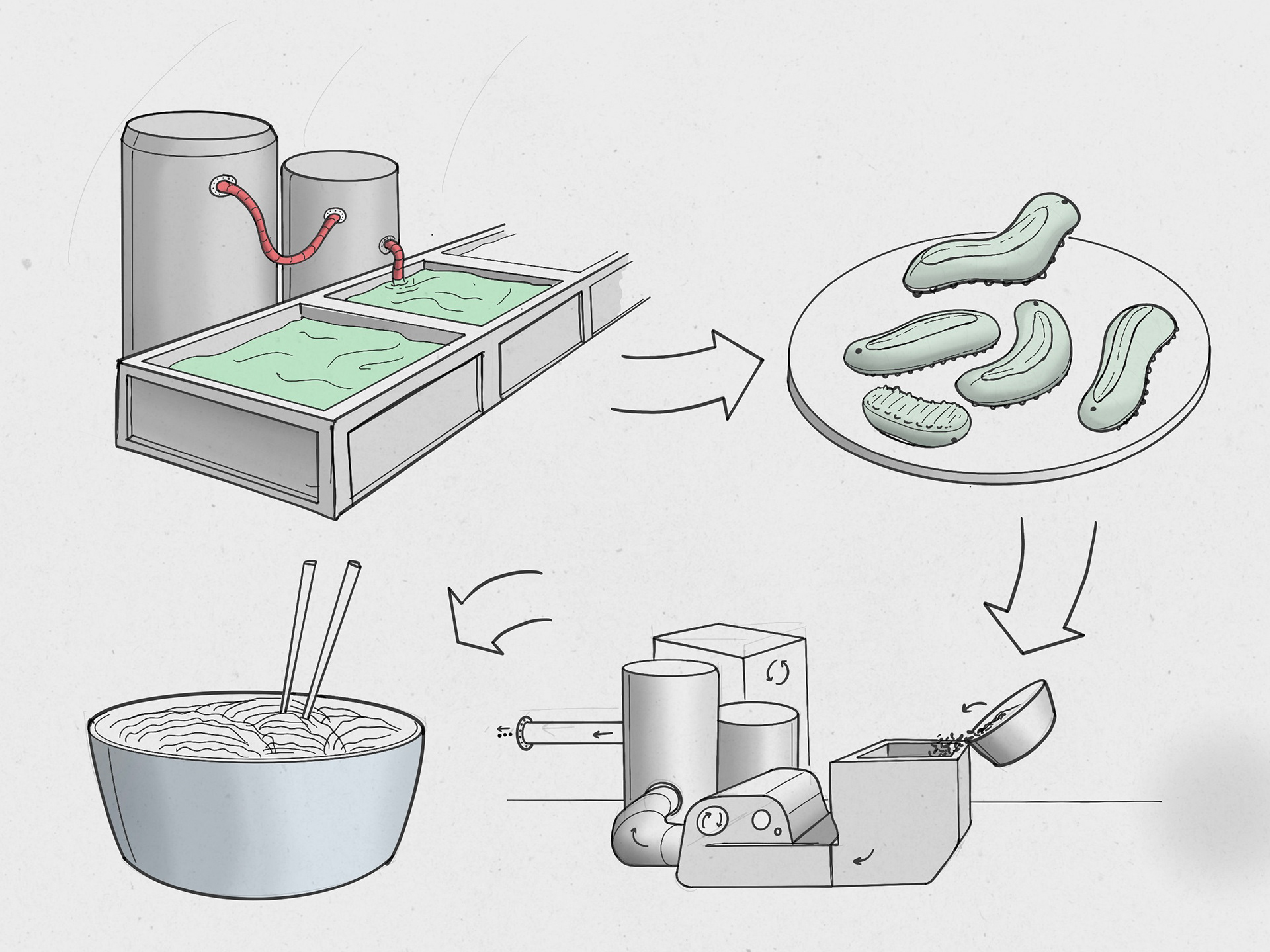 Synthetic protein noodles