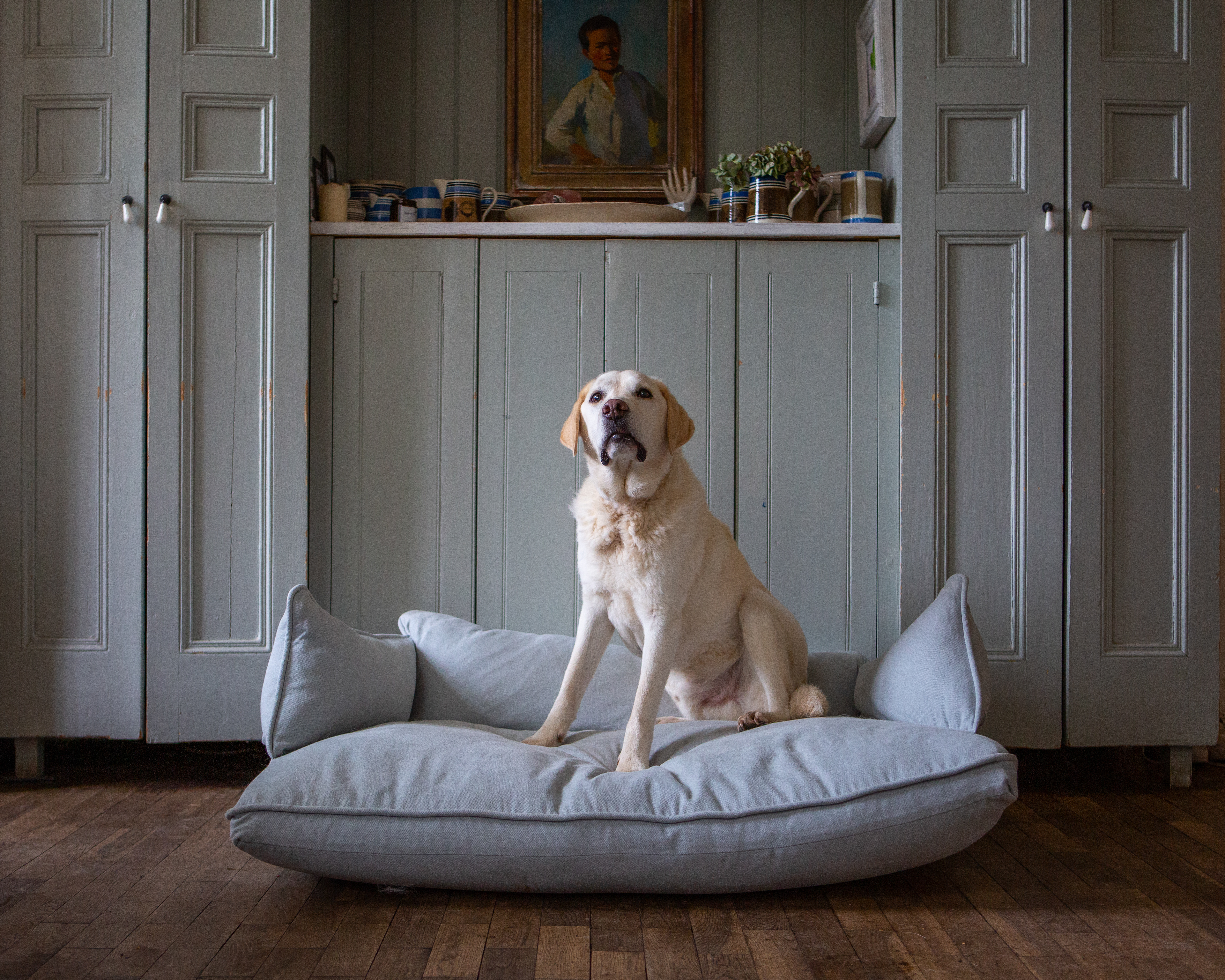 Silver Birch Grey Brushed Cotton - Marnie Piped Edge Dog Bed