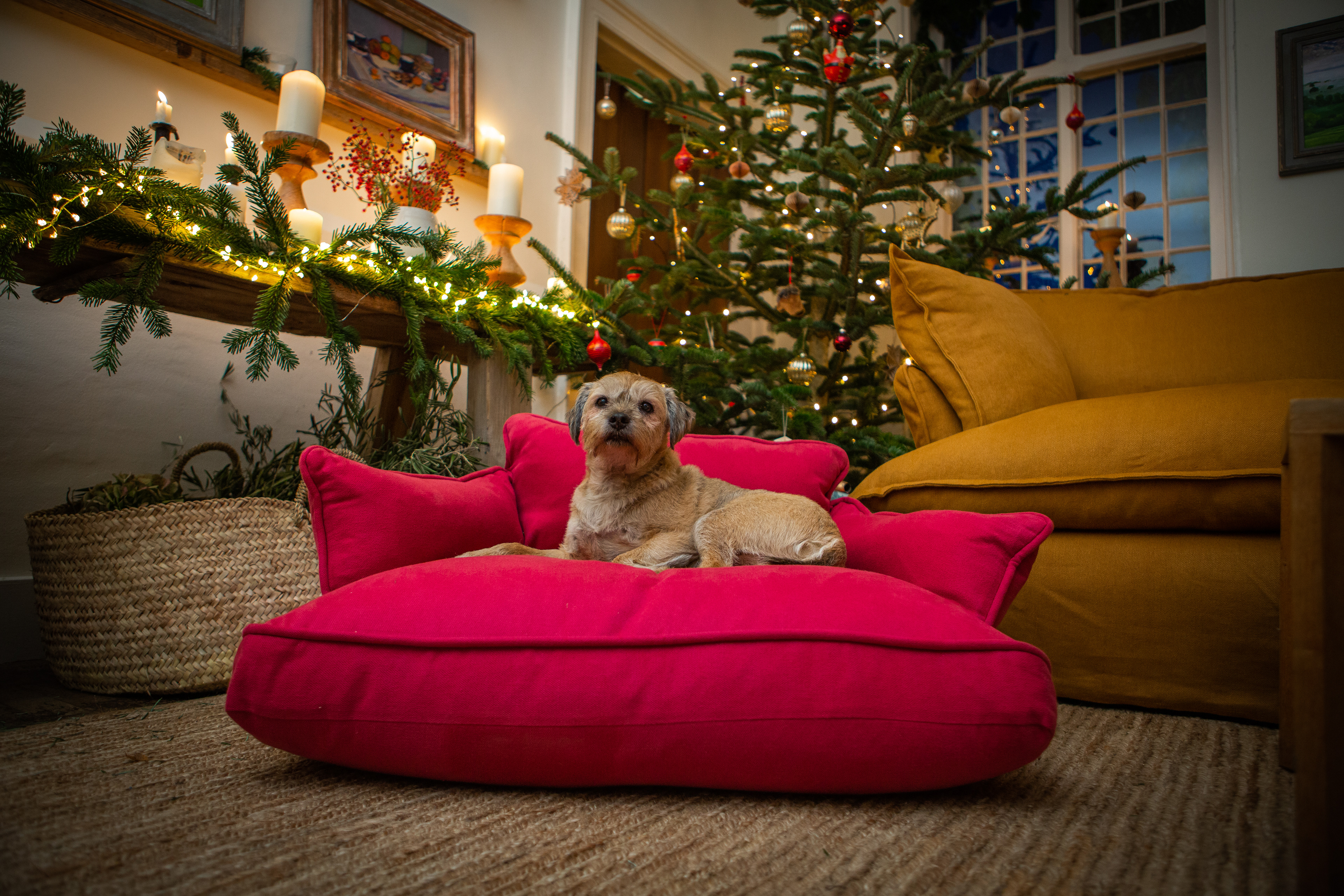 Ruby 100% Linen - Marnie Piped Edge Dog Bed