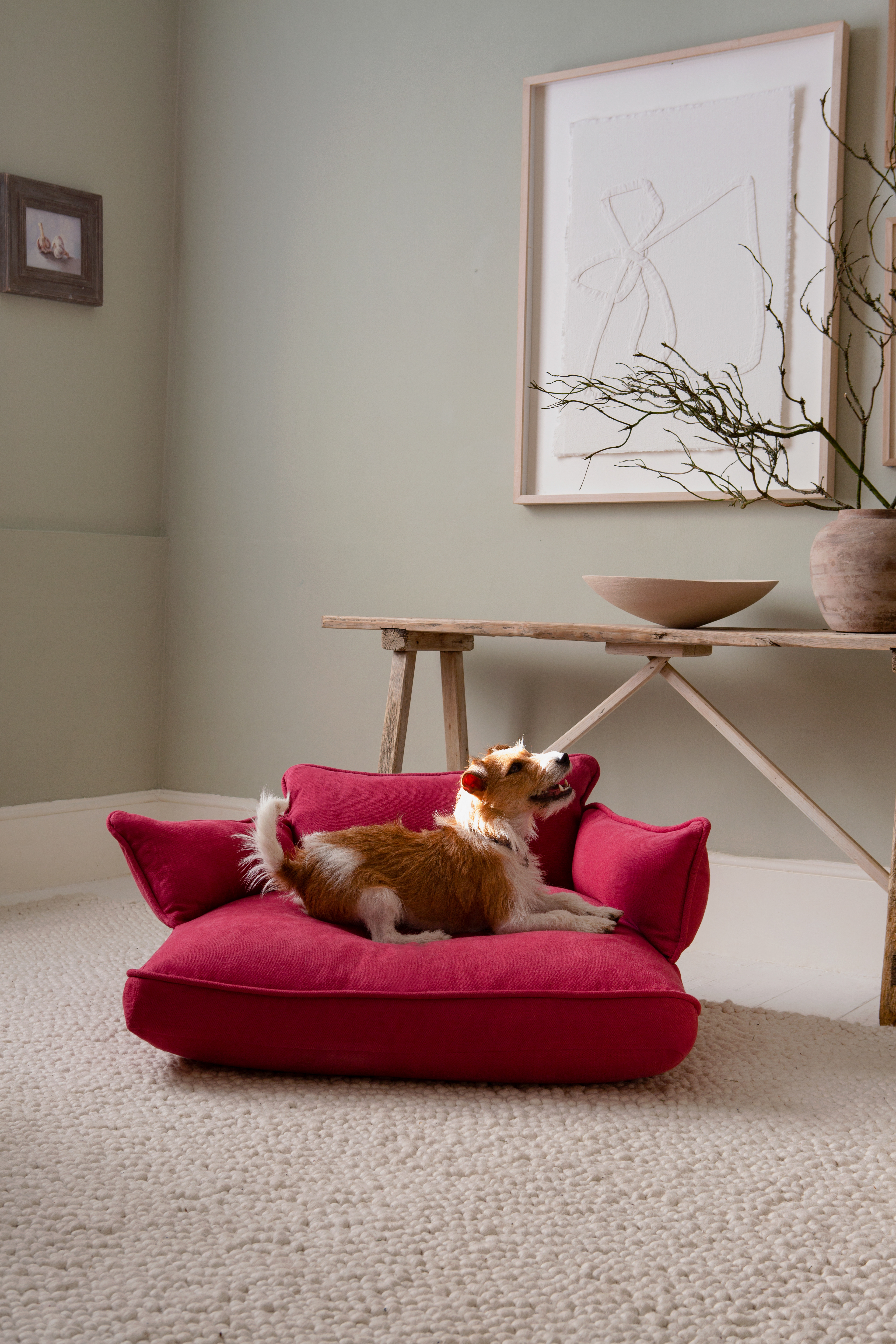 Customer Own Fabric - Marnie Piped Edge Dog Bed