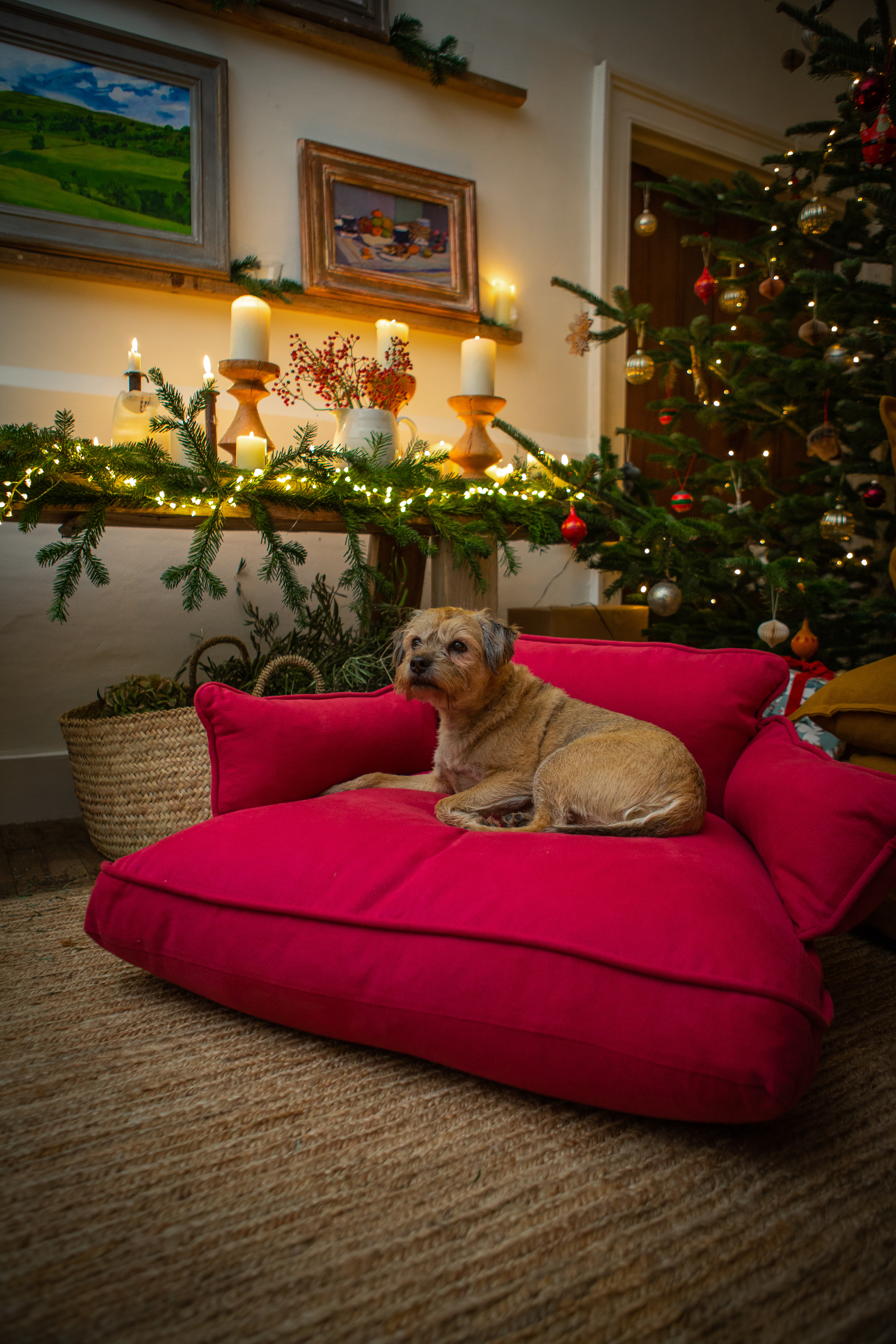 Ruby 100% Linen - Marnie Piped Edge Dog Bed