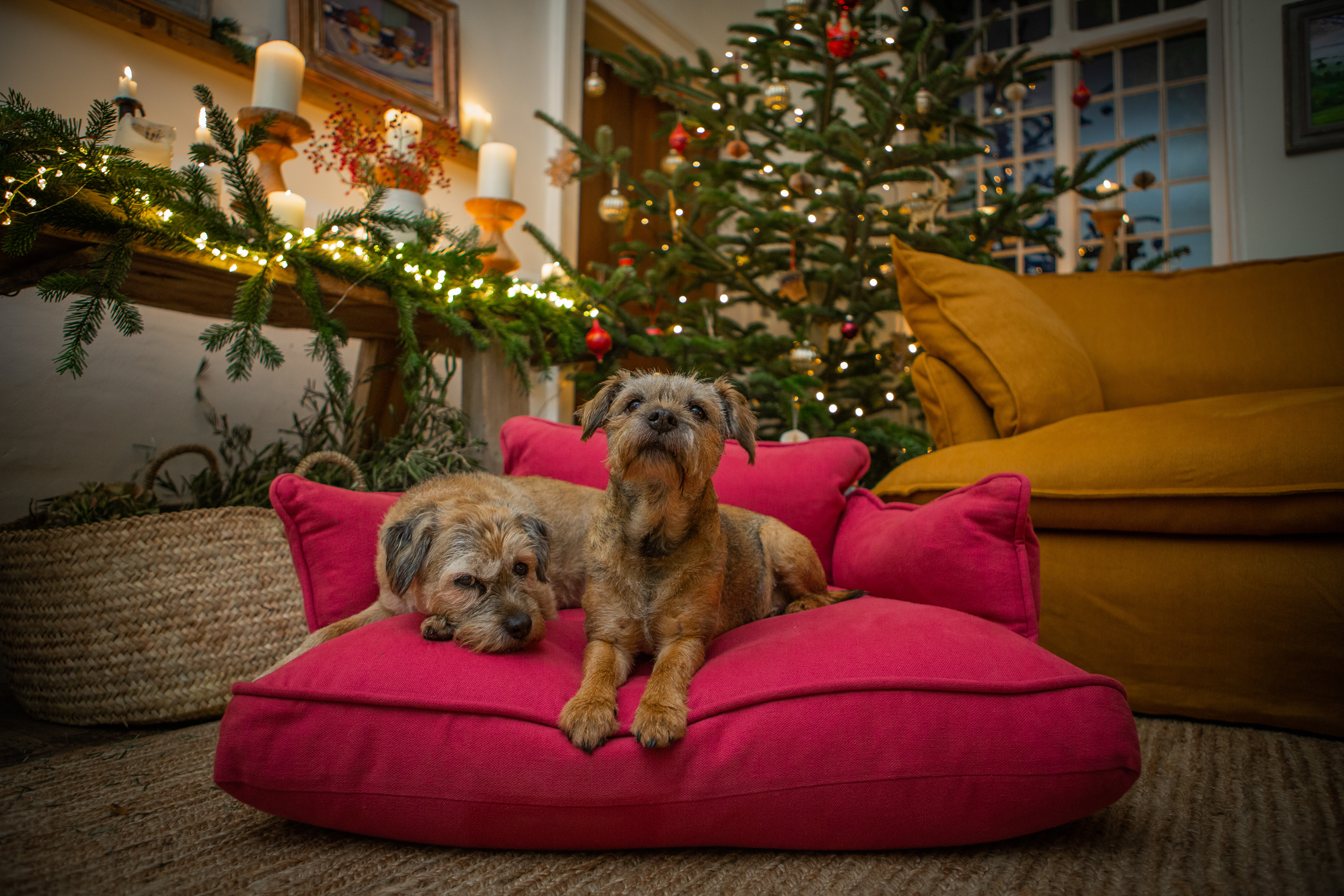 Ruby 100% Linen - Marnie Piped Edge Dog Bed
