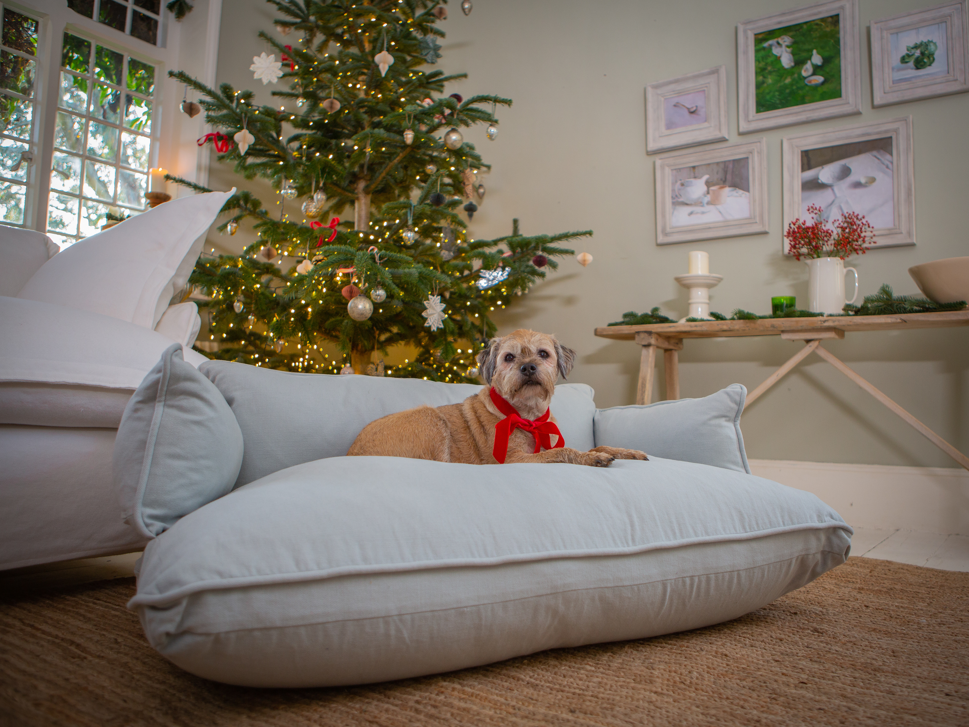 Silver Birch Grey Brushed Cotton - Marnie Piped Edge Dog Bed