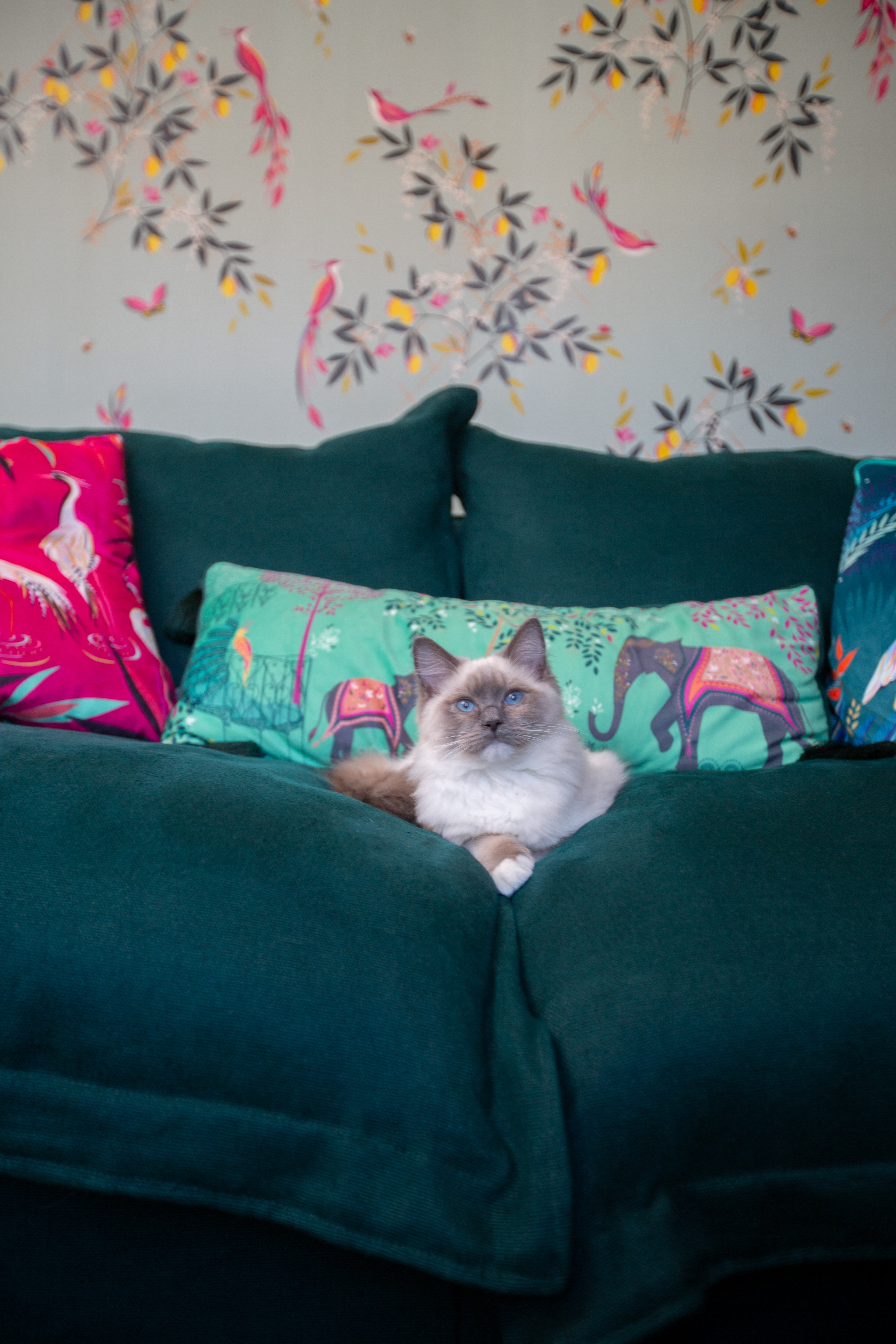 Topaz 100% Linen - Song Pillow Edge Sofa
