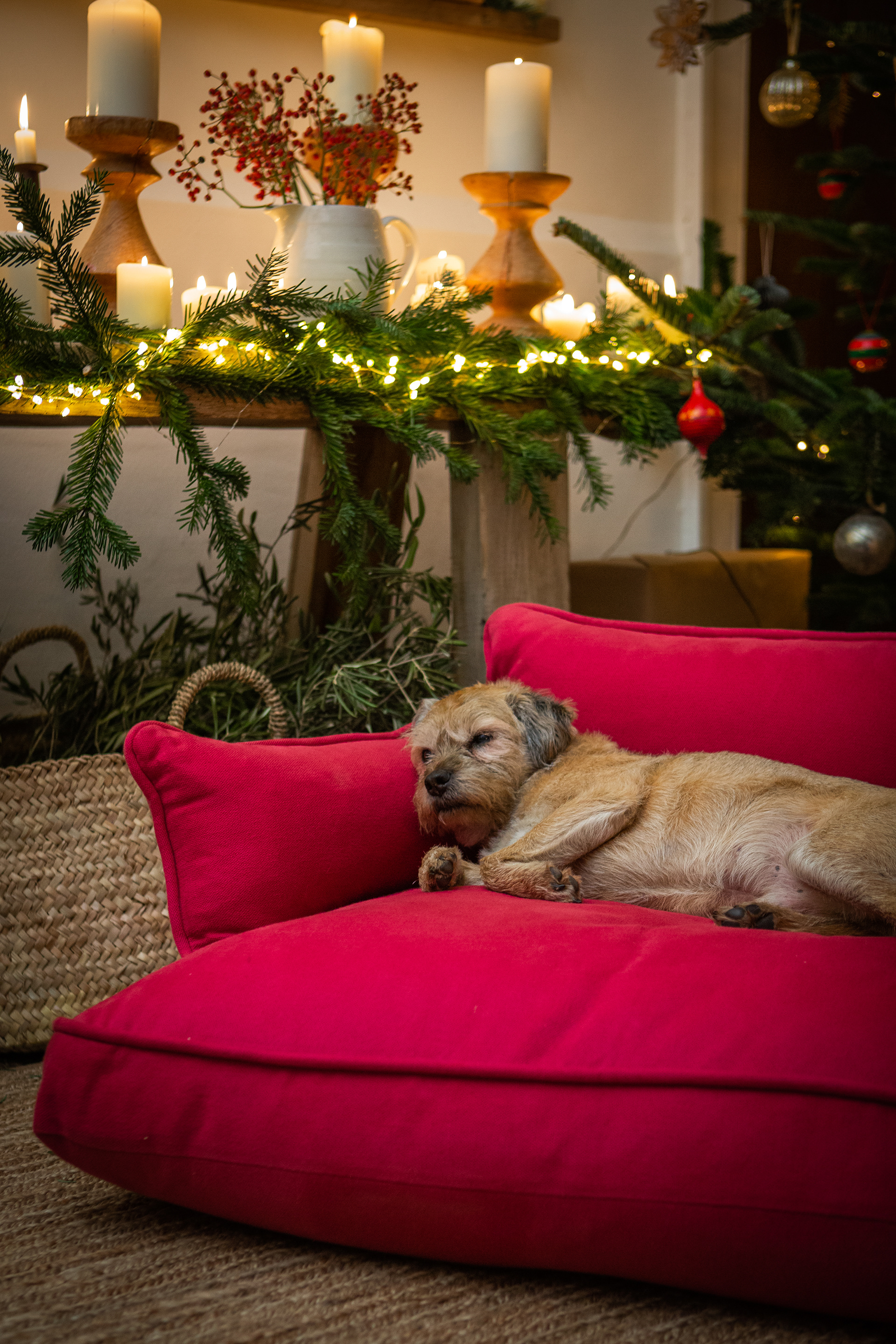 Ruby 100% Linen - Marnie Piped Edge Dog Bed