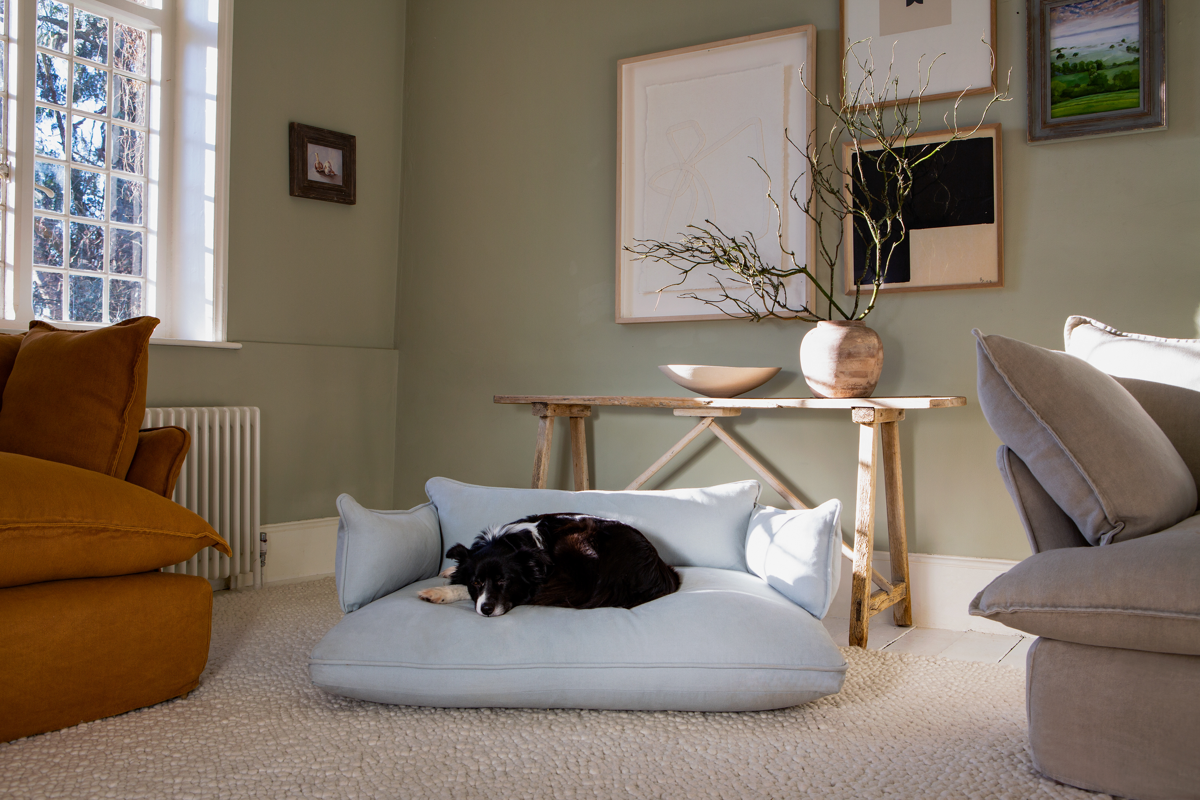 Silver Birch Grey Brushed Cotton - Marnie Piped Edge Dog Bed