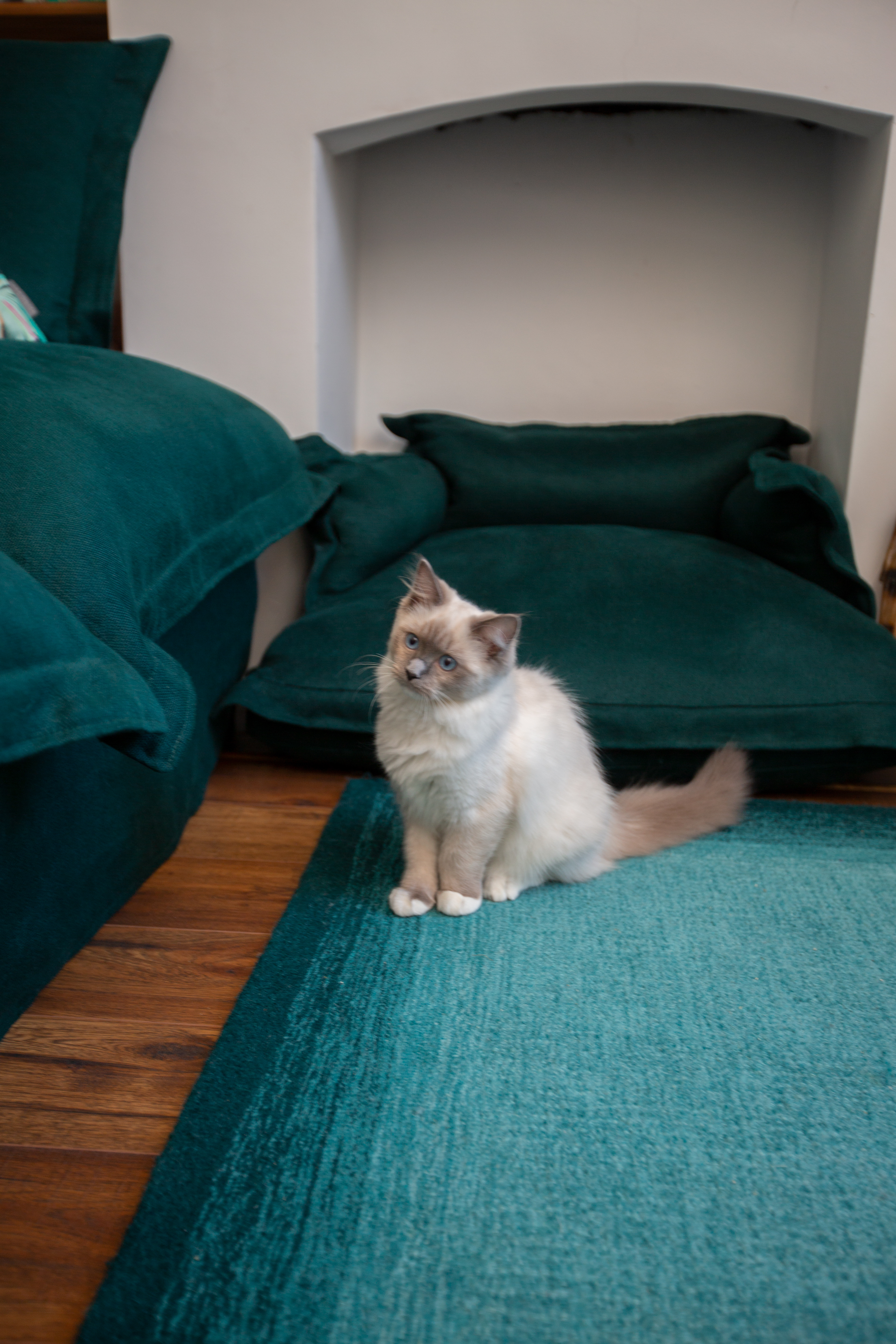 Topaz 100% Linen - Song Pillow Edge Pet Bed