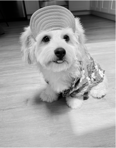Milo