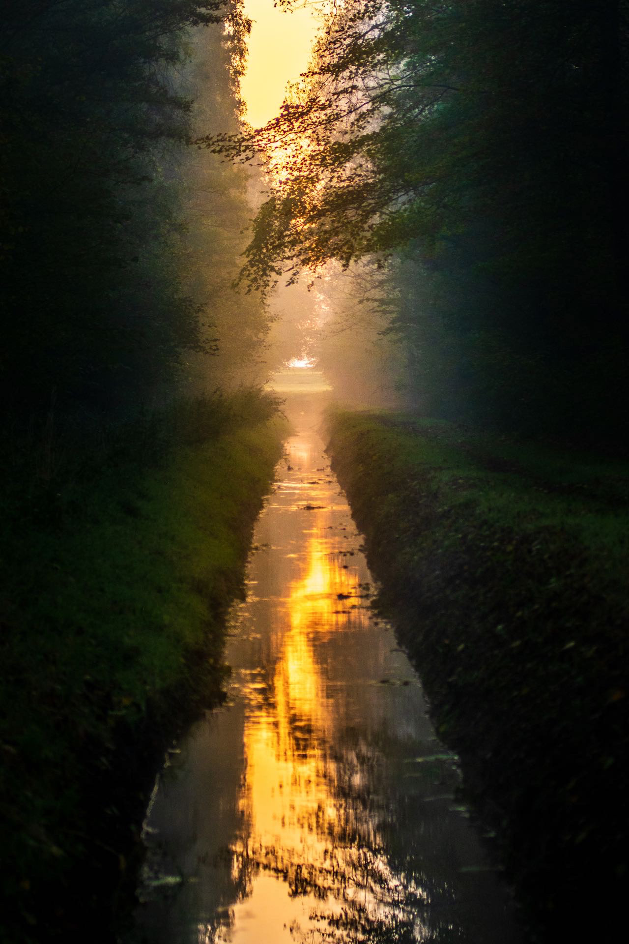 FLEVOLAND WATERLAND #FLWL1019