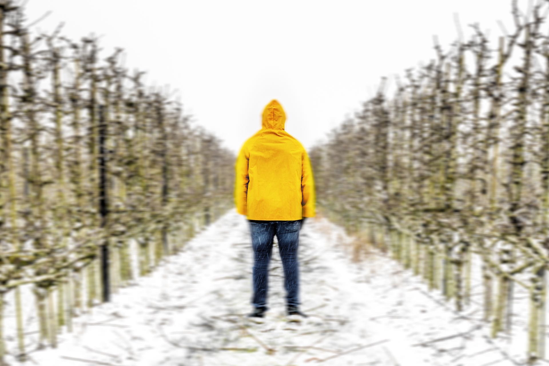 #DR1019 Self Portrait as a Framer